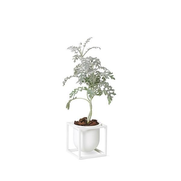 Audo Copenhagen Kubus flowerpot white, 10cm