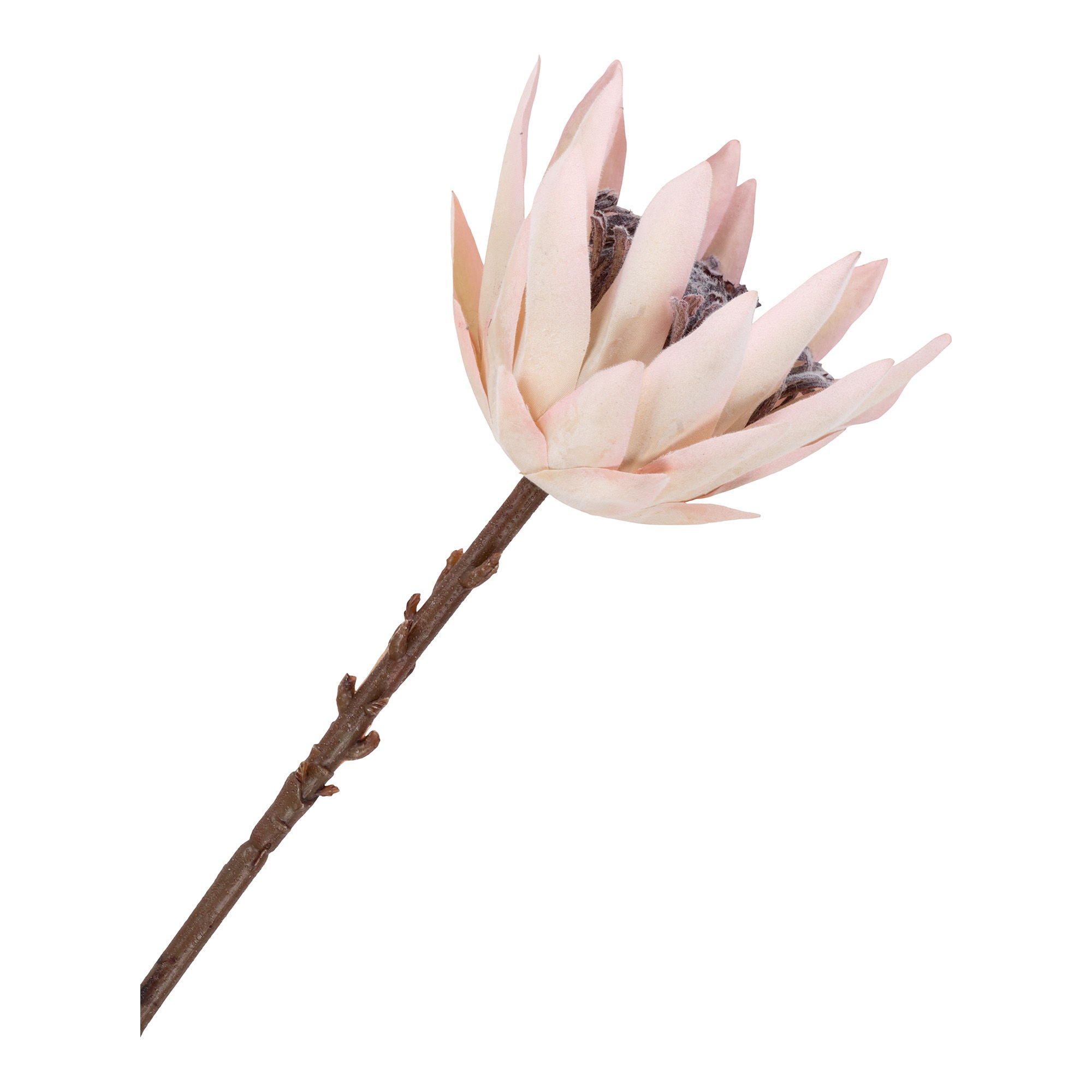 House Nordic King Protea Bouquet, Artificial Flowers, Bordeaux Mix, H:65 Cm