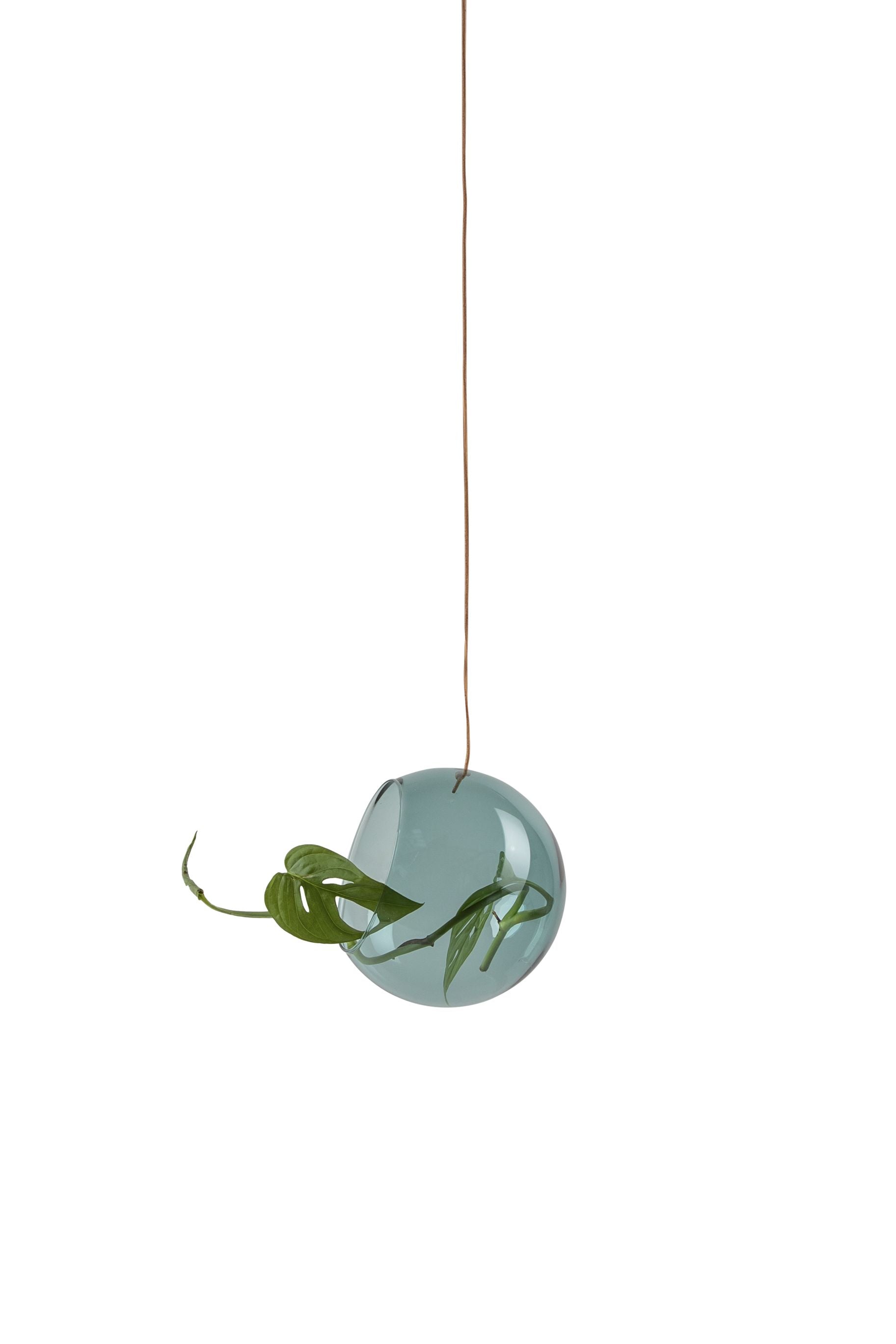 Studio über hängende Pflanzenblasenvase -Medium, Cyan