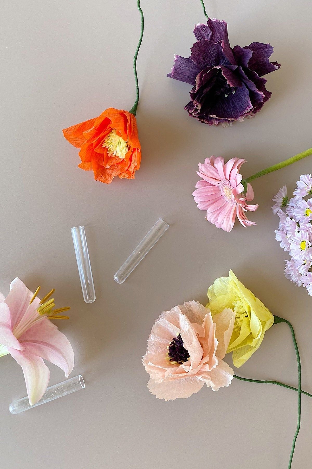 Estudio sobre papel de peonía de flores, desnudo