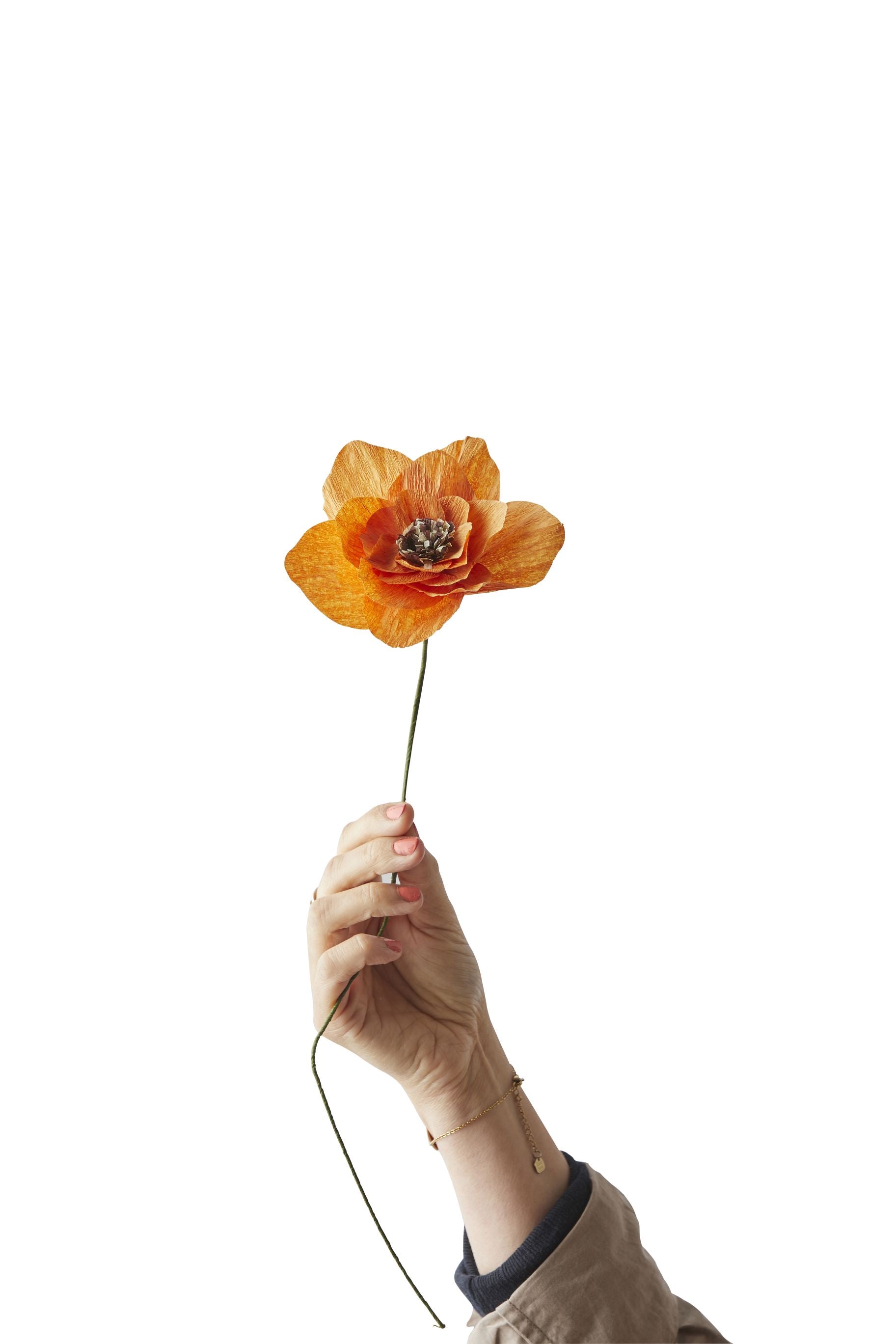 Studio über Papierblume Mohn, Orange