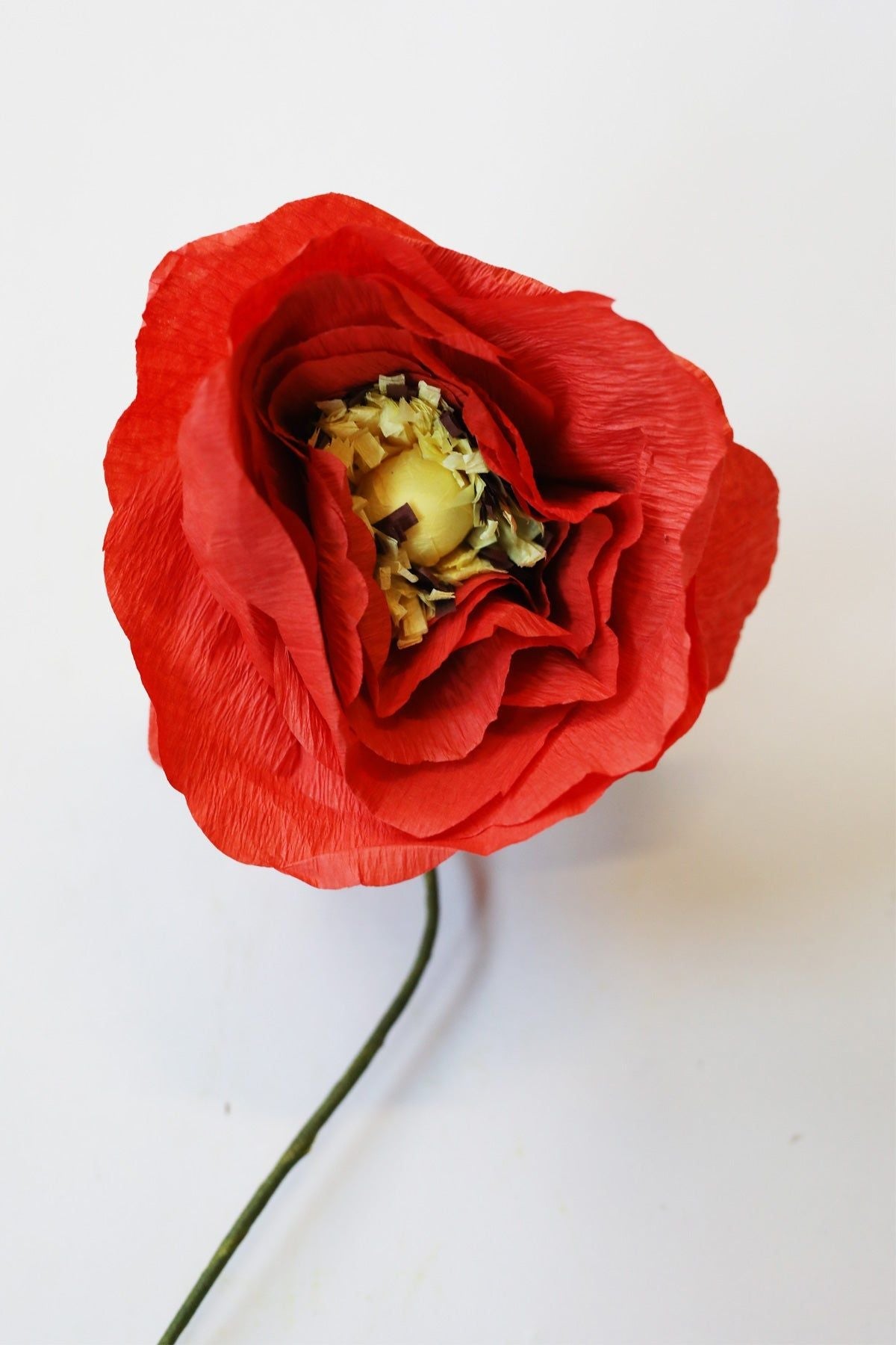 Estudio sobre papel Poppy de hielo de flor brillante, rojo