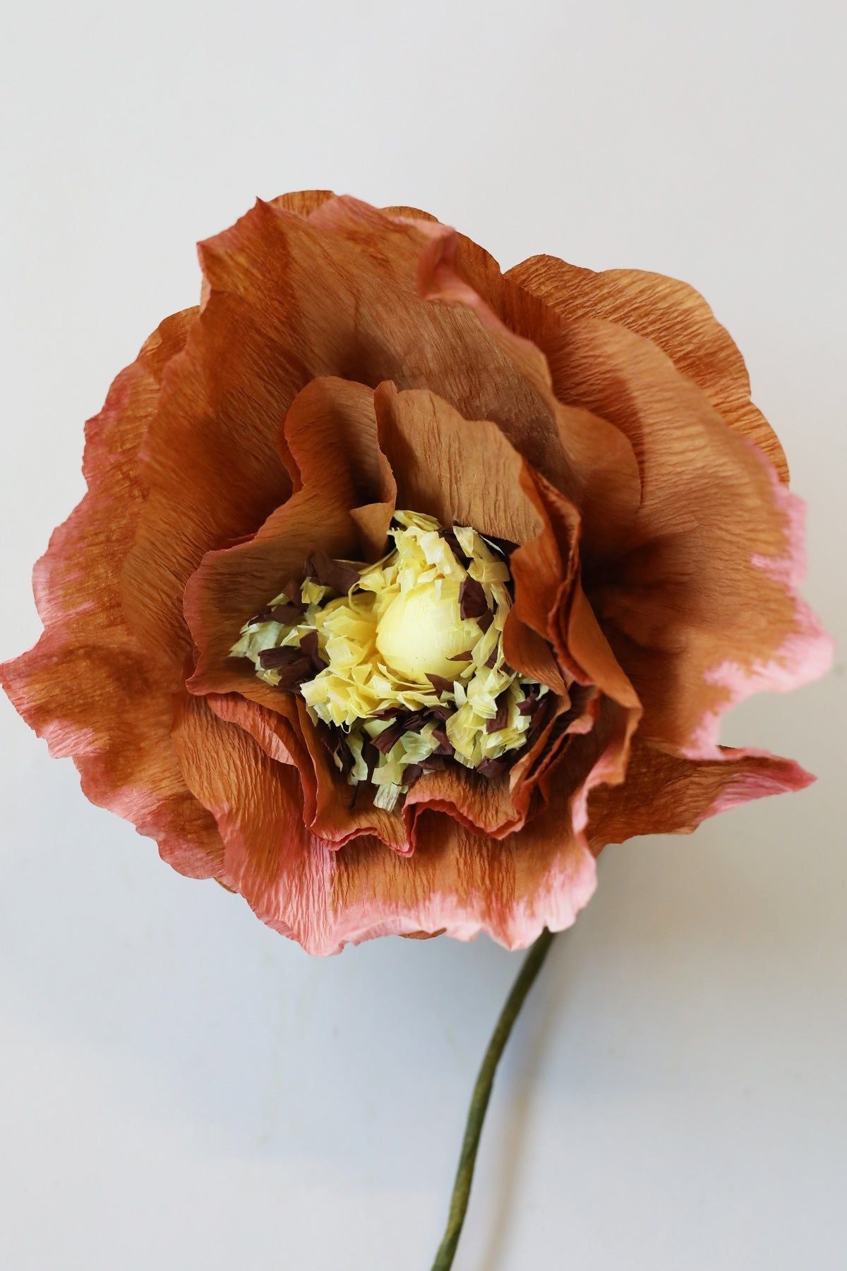 Estudio sobre Papel Flower Ice Poppy, OCre oscuro