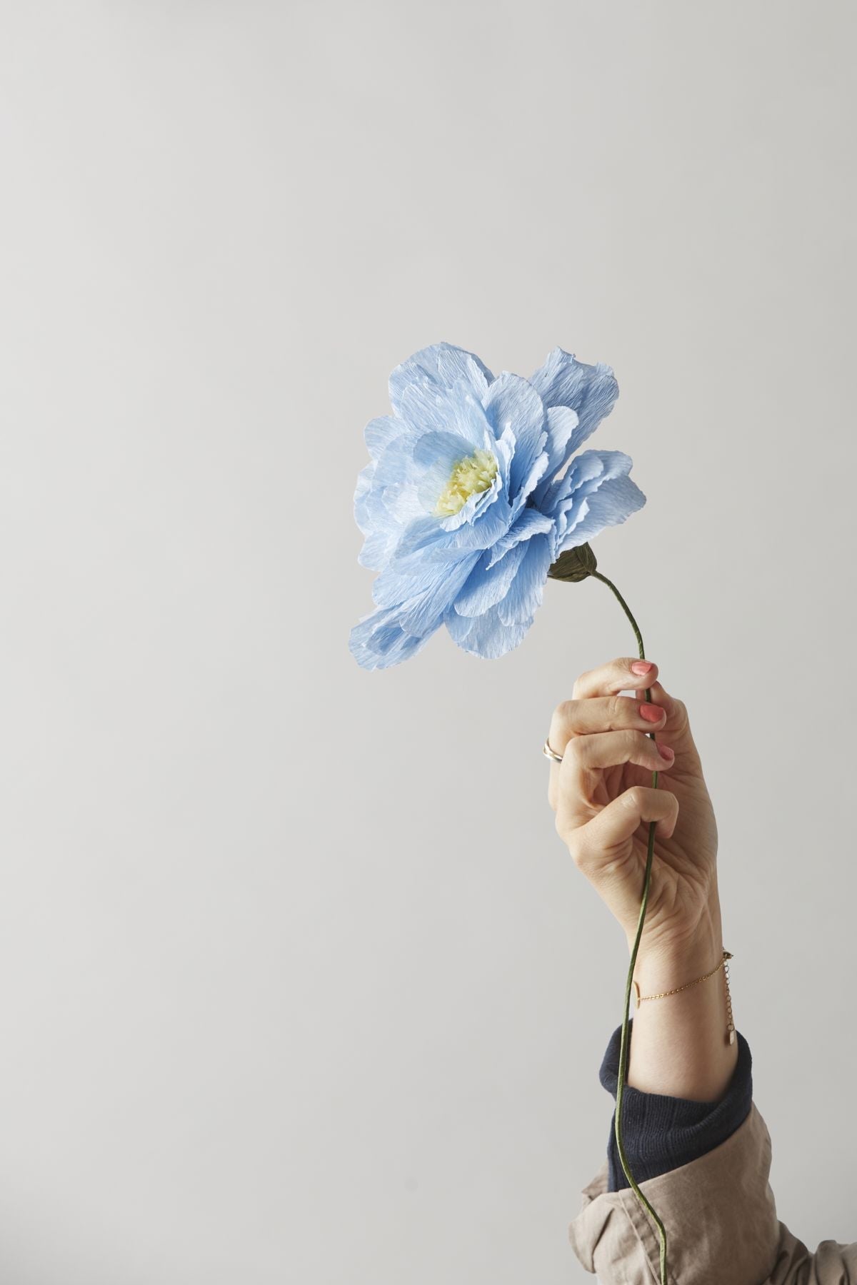 Estudio sobre Flower Grand Ponony, azul