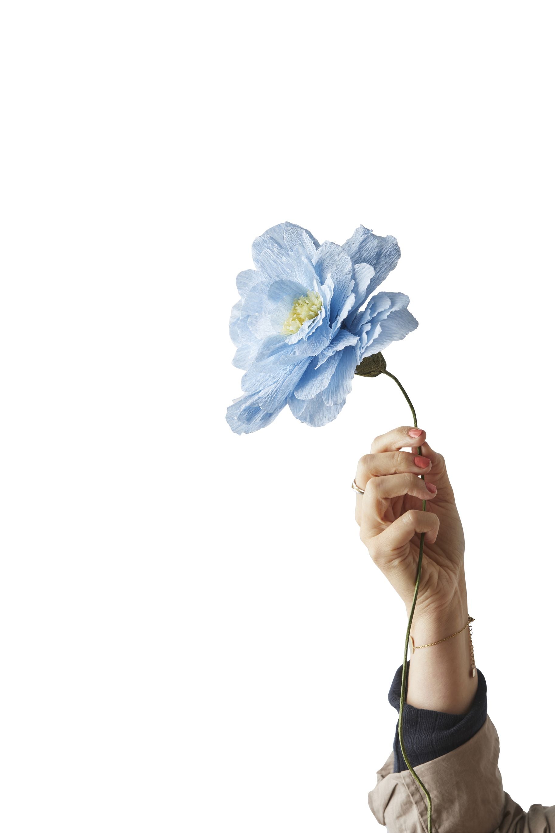 Studio sur le papier fleur de papier Grand pivoine, bleu