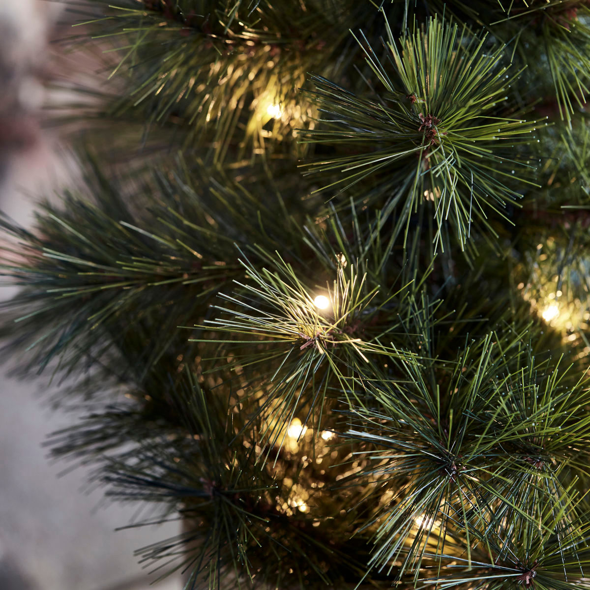 Huslæge juletræ w. Led, hdpinus, naturen