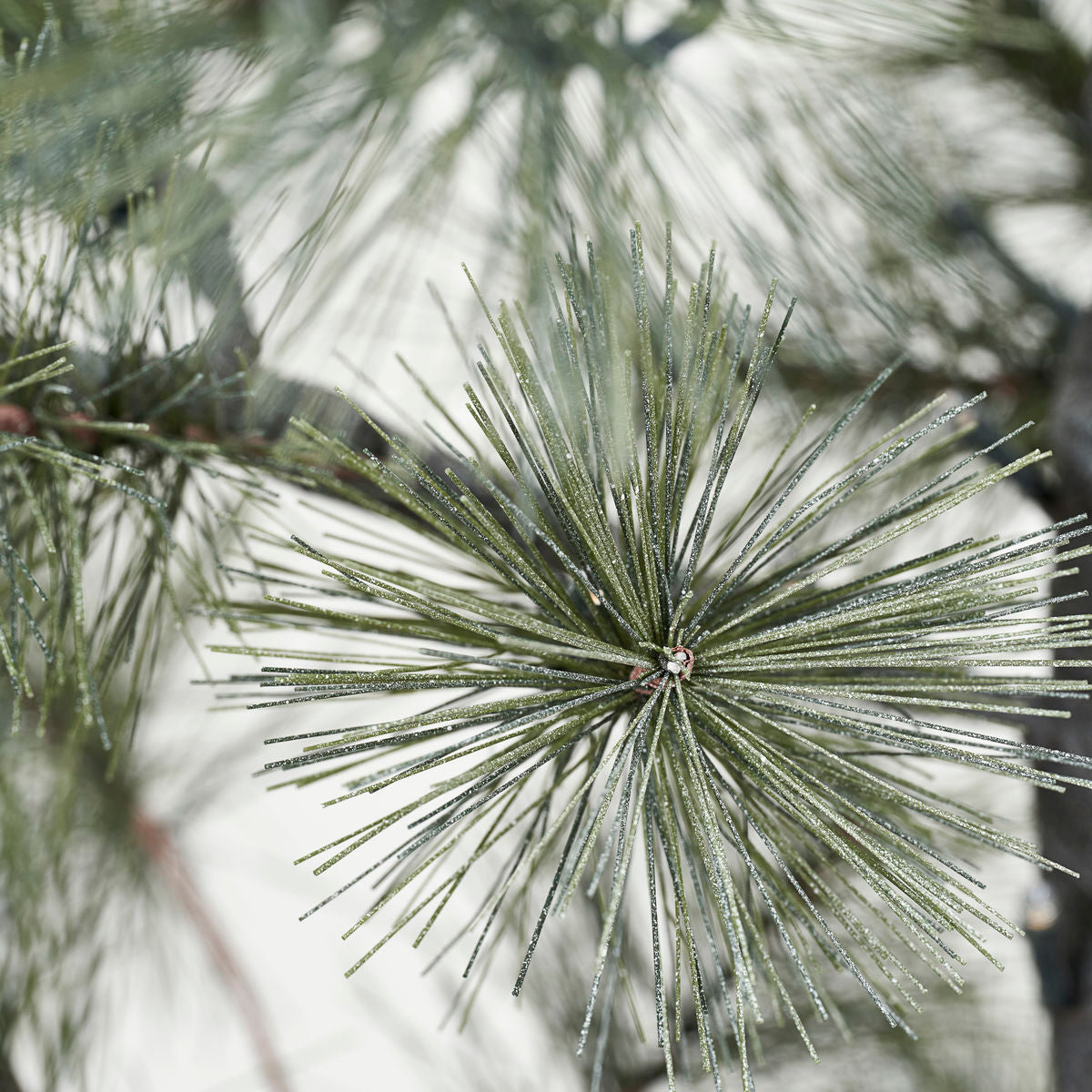 Huslæge juletræ w. Led, hdpeuce, naturen