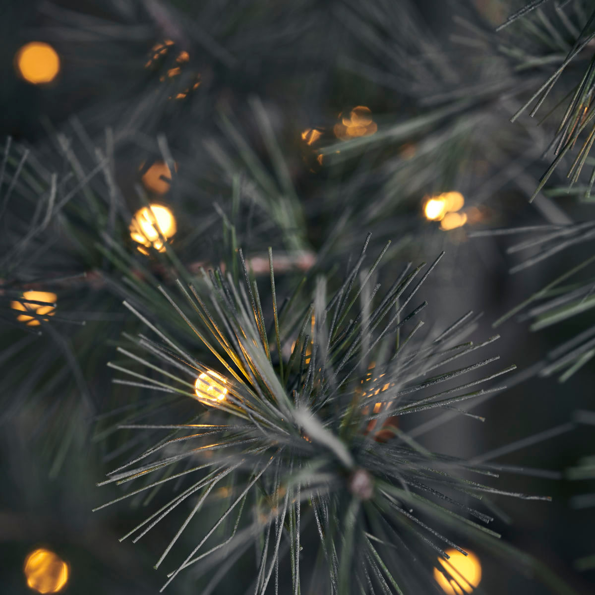 Casa Doctor Árbol de Navidad w. LED, HDPIN, Naturaleza