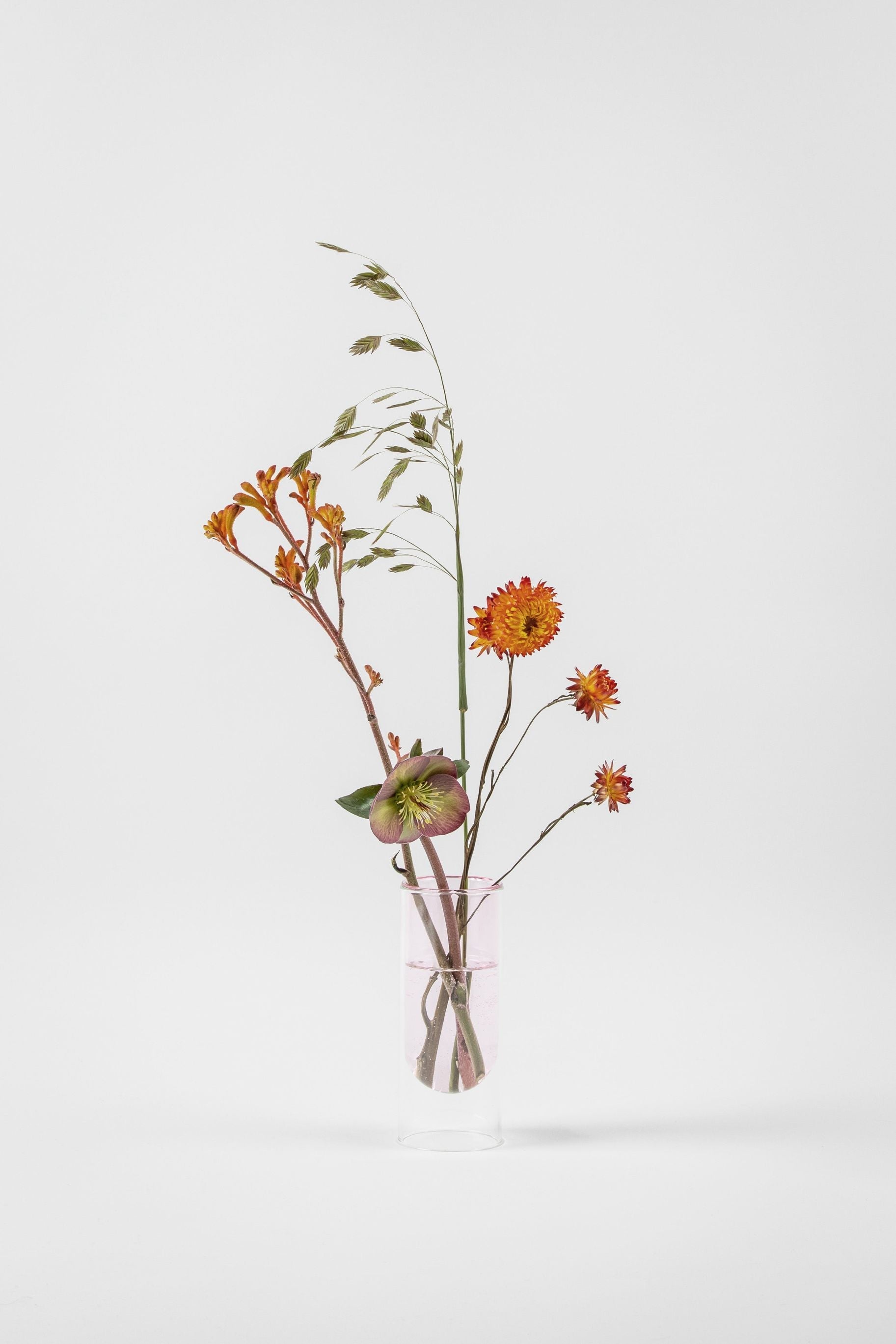 Studio über Blumenrohrvase 16 cm, Rose