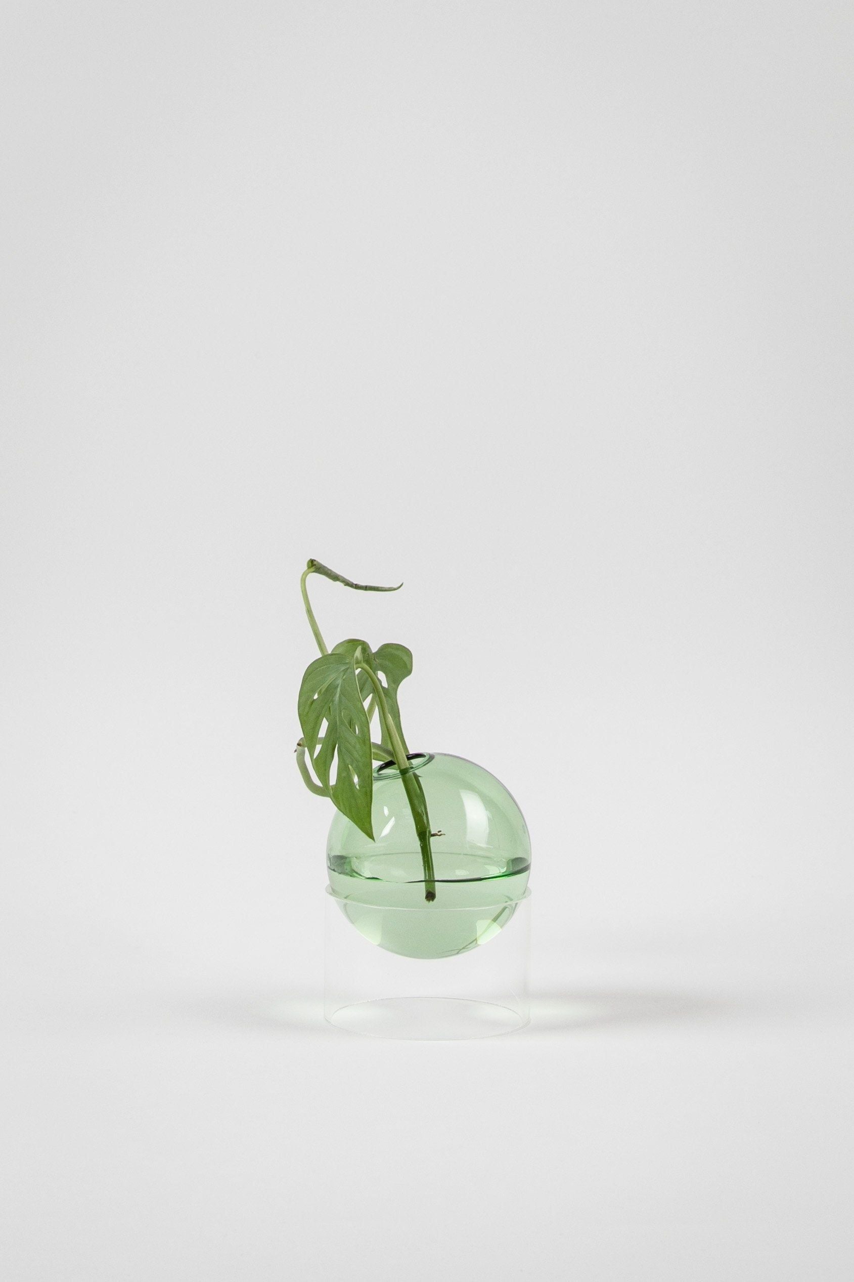 Studio sur le vase de bulles de fleur debout 10 cm, vert