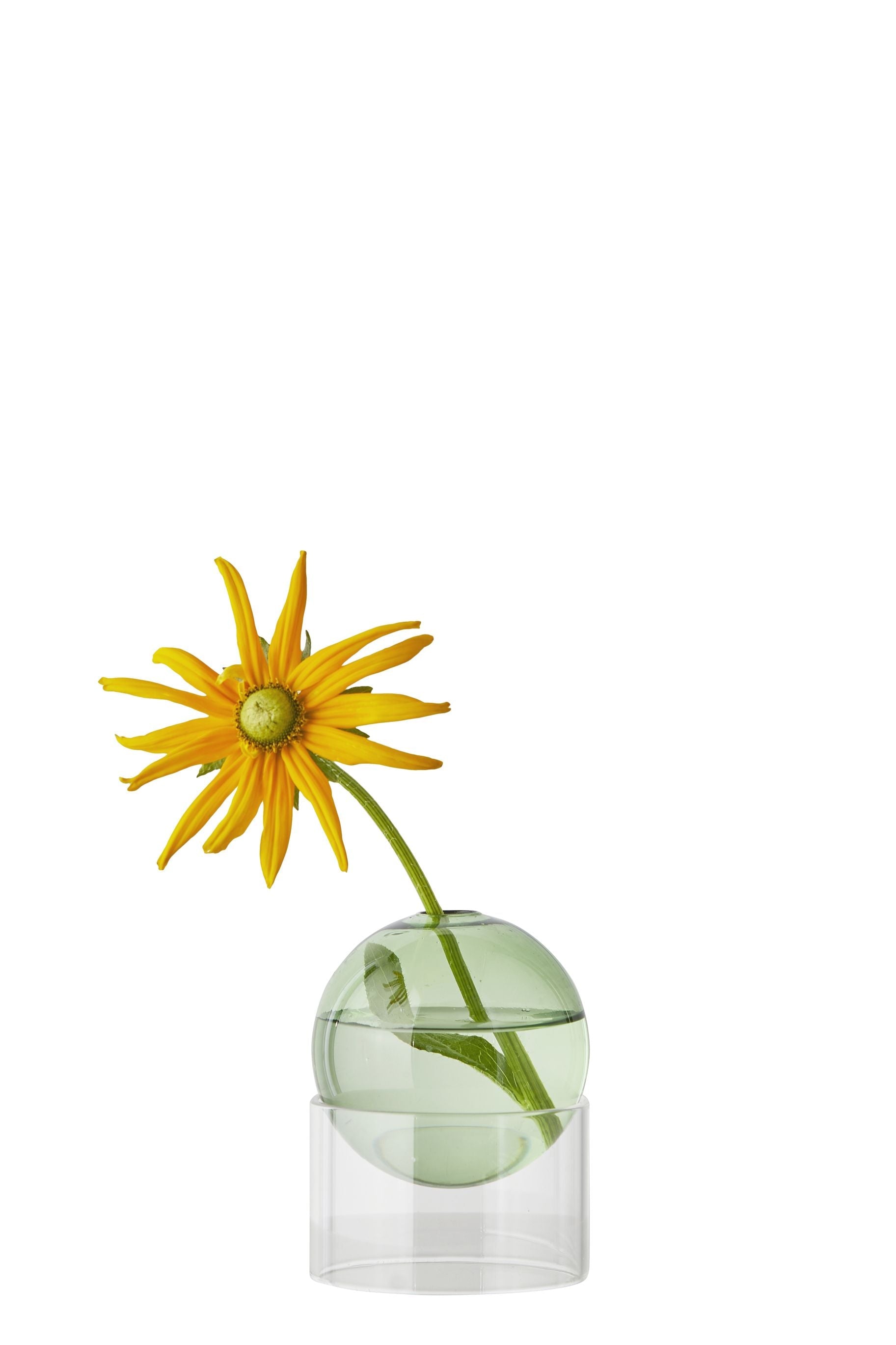 Studio sur le vase de bulles de fleur debout 10 cm, vert