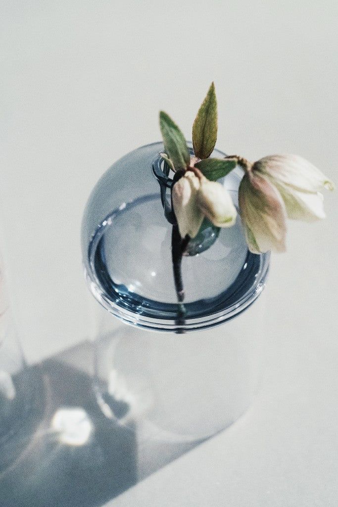 Studio sur le vase de bulles de fleur debout 10 cm, fumée