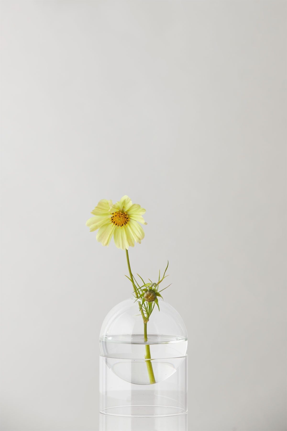 Studio om stående blommebubbla vas 10 cm, transparent