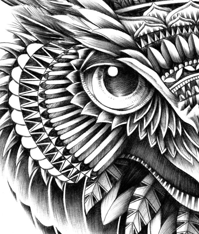 Affiche Ornate Owl Head af BioWorkz