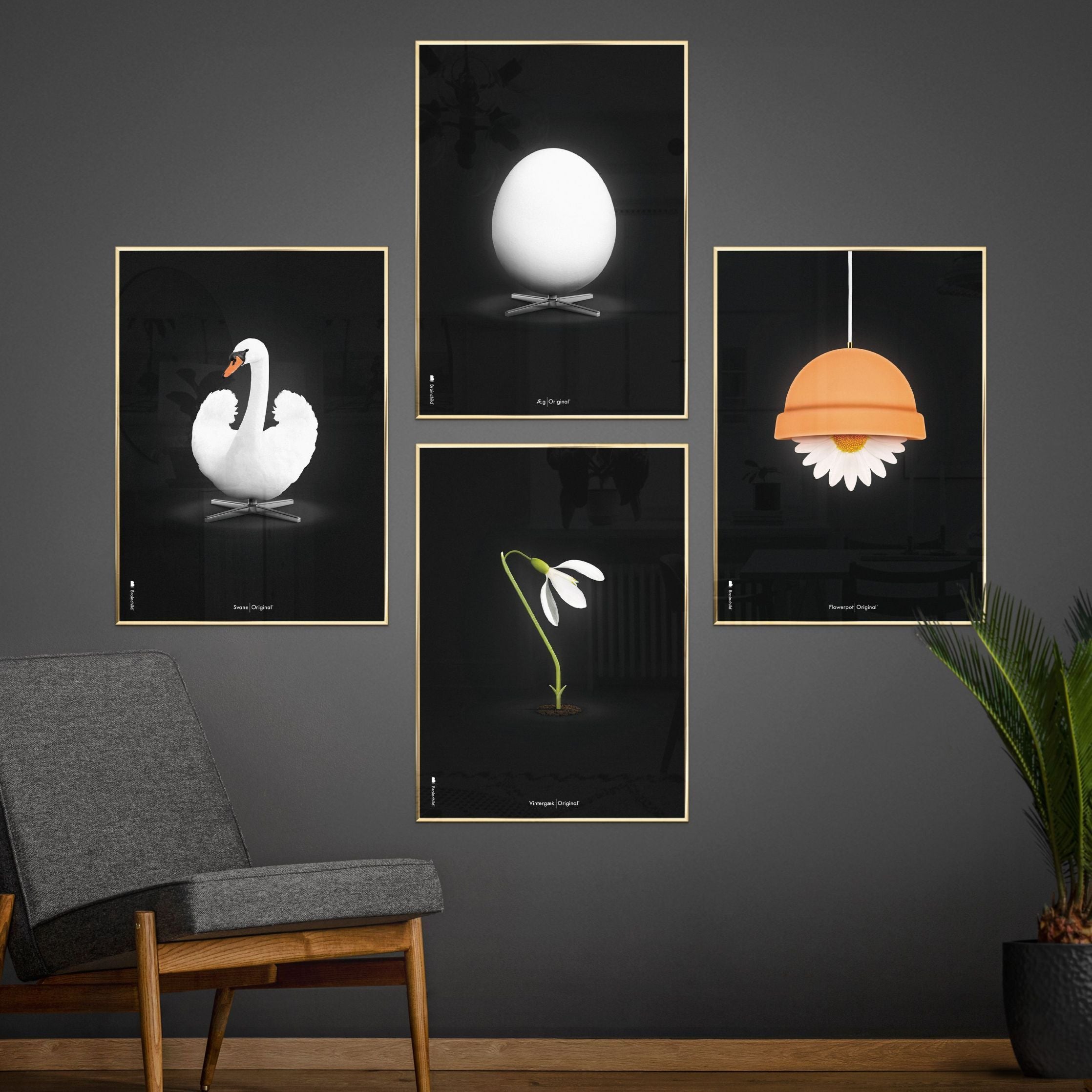 Brainchild Flowerpot Classic Plakat, Dark Wood Frame A5, Black Baggrund