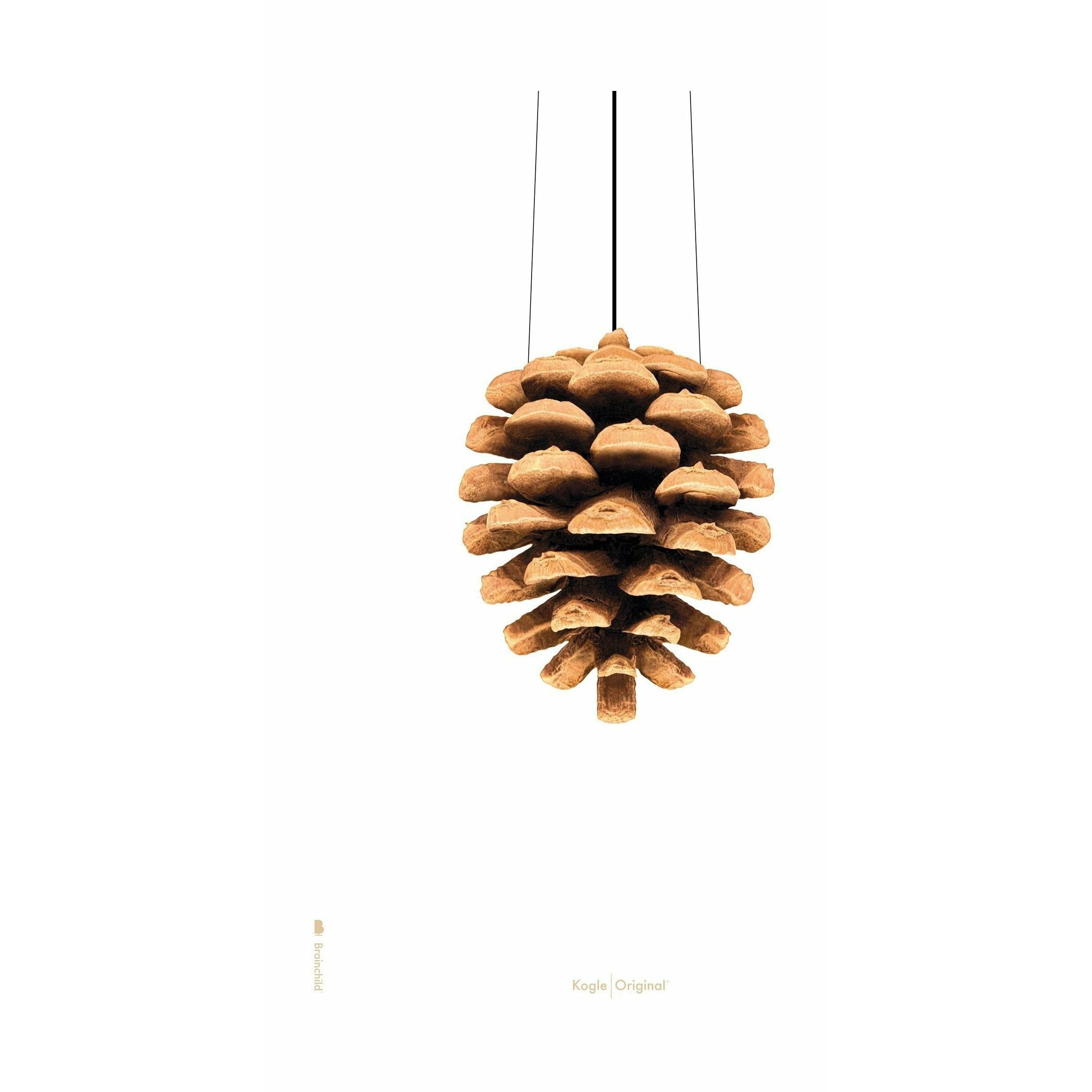 Brainchild Pine Cone Classic Poster Without Frame 70x100 Cm, White Background