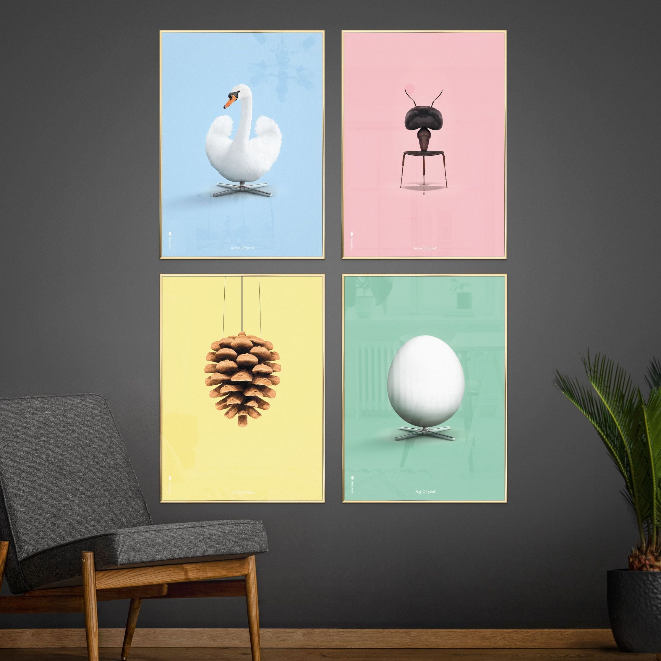 Brainchild Pine Cone Classic Poster, Rahmen aus hellem Holz A5, gelber Hintergrund