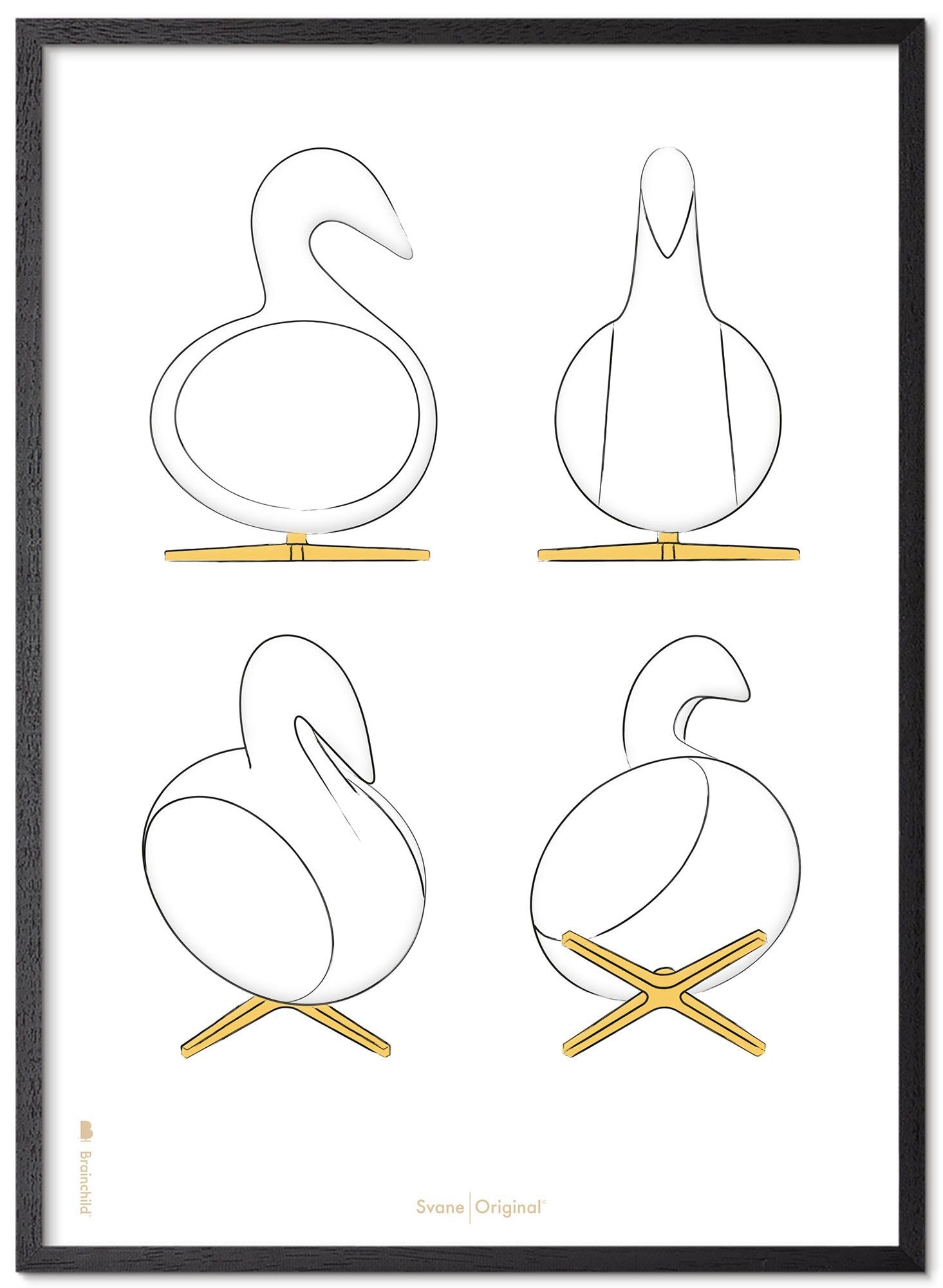 Brainchild Swan Design Sketches Affisch Frame gjord av svart lackerat trä 50x70 cm, vit bakgrund