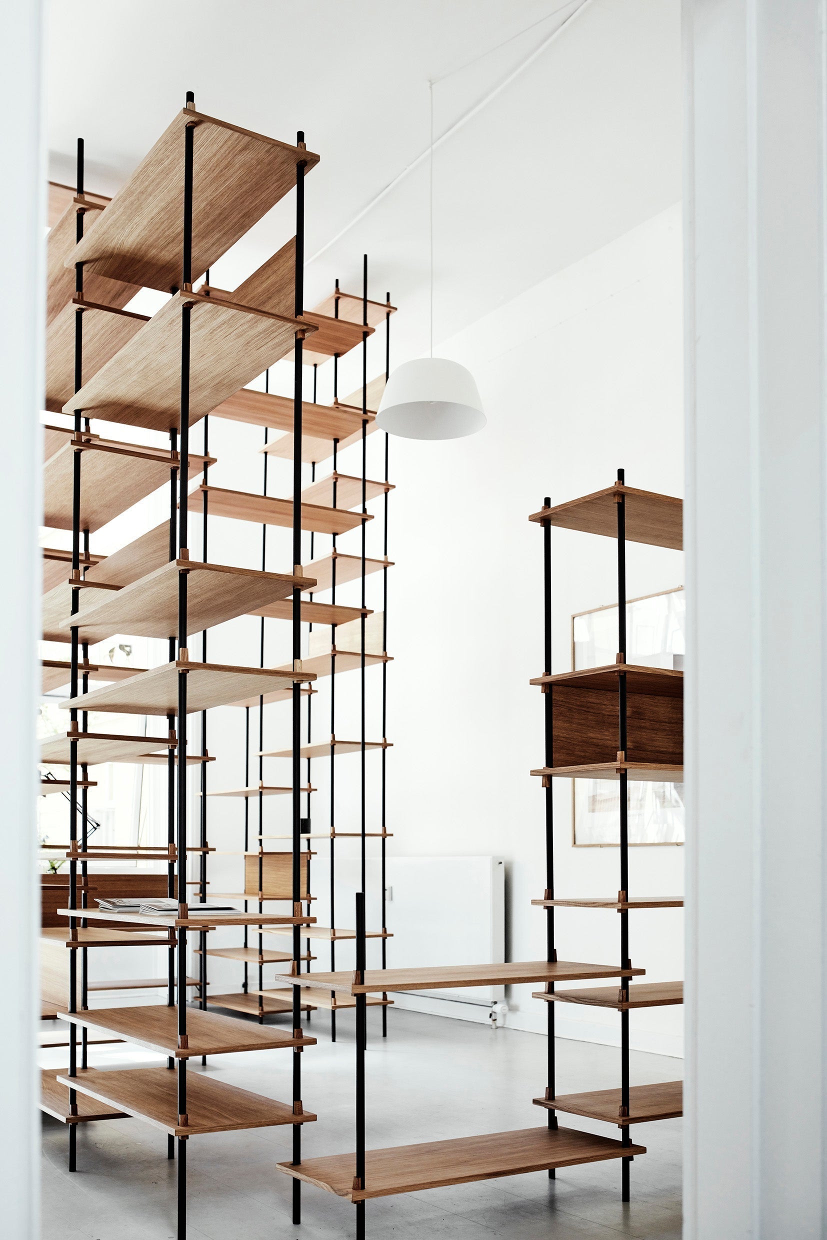 Moebe Shelving System S.255.2.A, Oak/Black