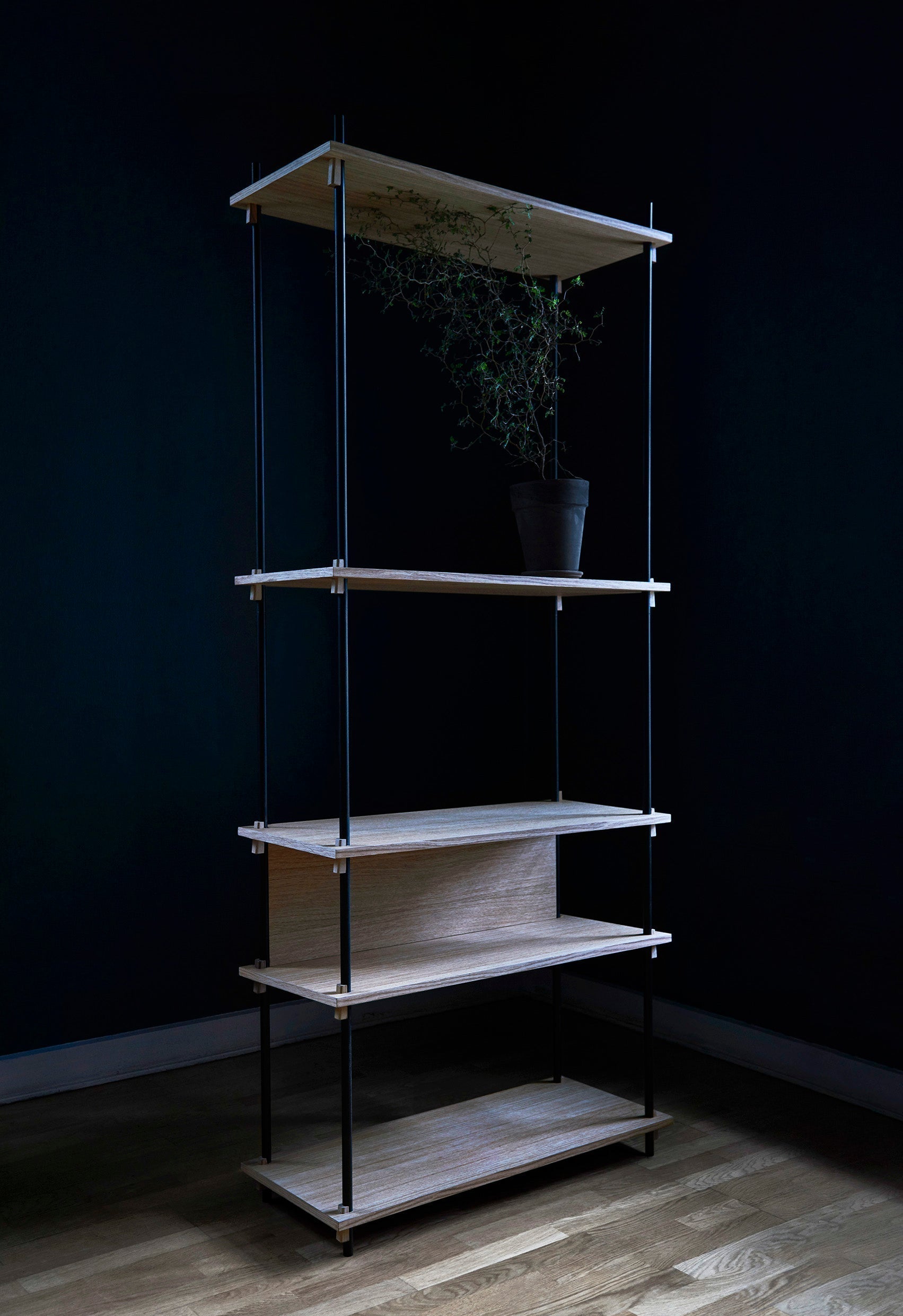 Moebe Shelving System S.255.3.B, Oak/Black