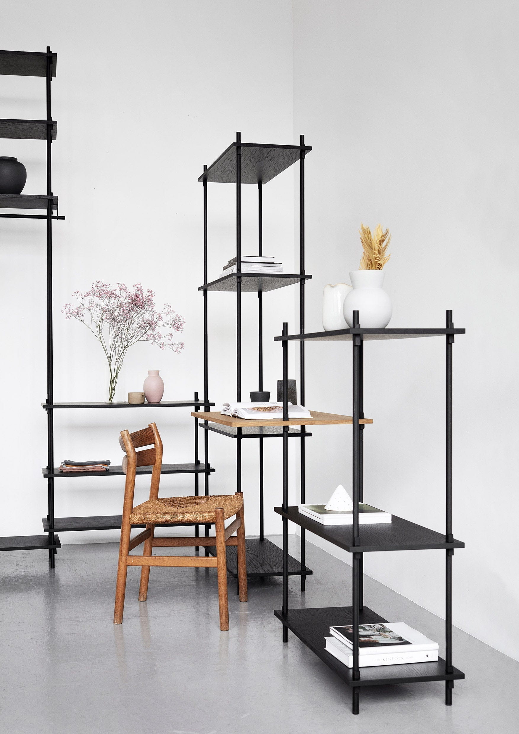 Moebe Shelving System S.255.2.E, Oak/Black