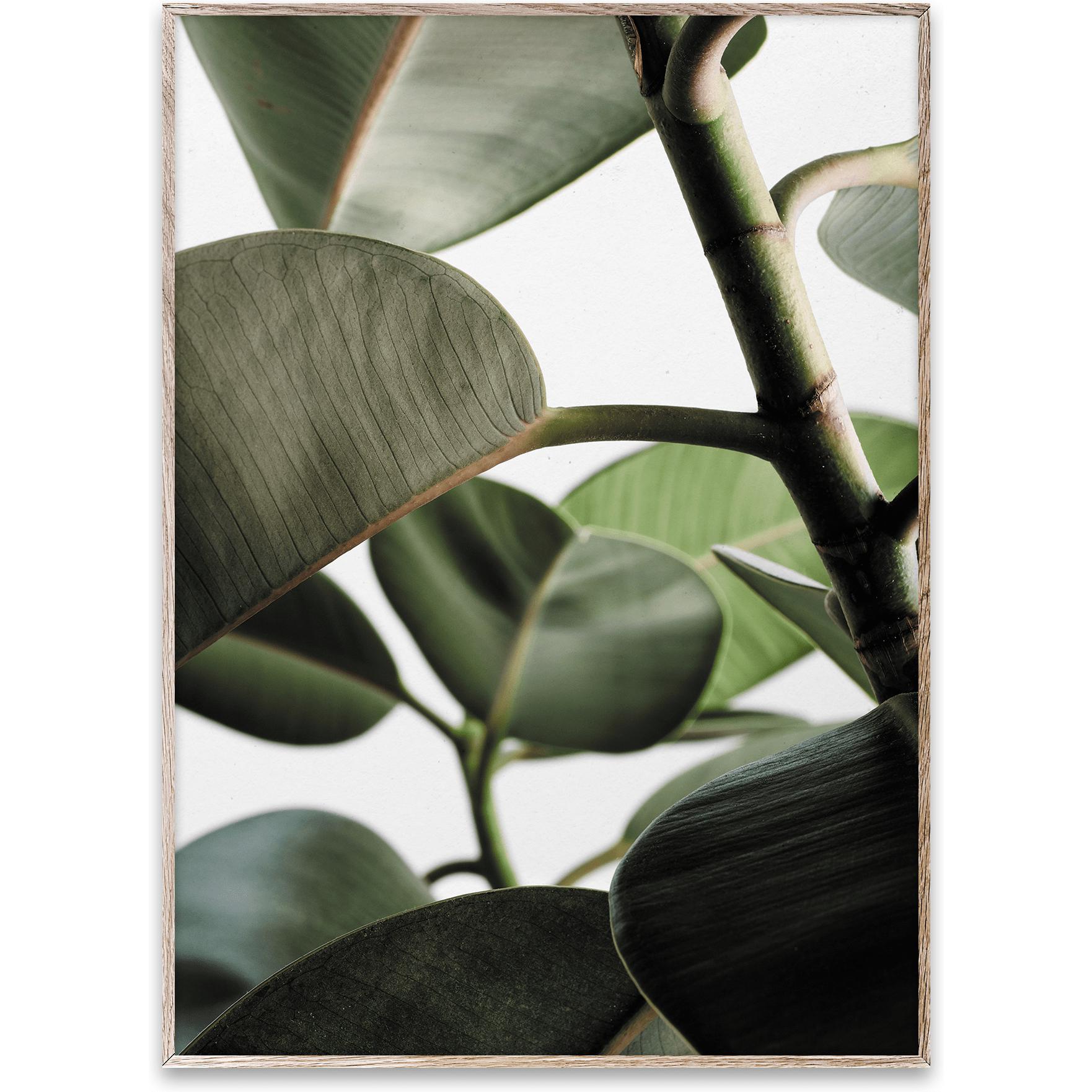 Papirkollektiv grønt hjem 03 plakat, 50x70 cm