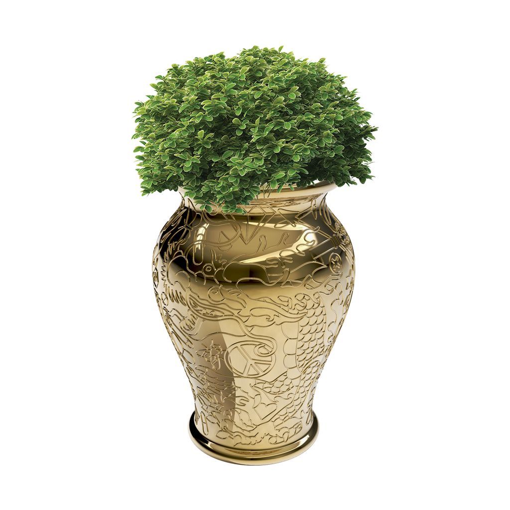 QEEOOO MING PLANTER / CHAMPAGNE COFRETER METAL FINITION par Studio Job, Gold