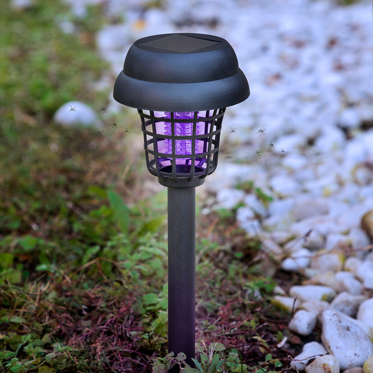 Lampe de jardin solaire de tueurs de moustique garlam innovagoods