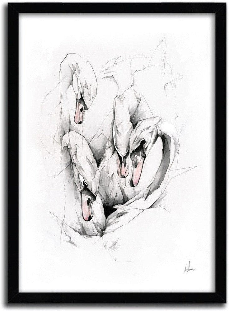 [product_category]-Affiche SWANS par ALEXIS MARCOU-Magenta Raspberry-1