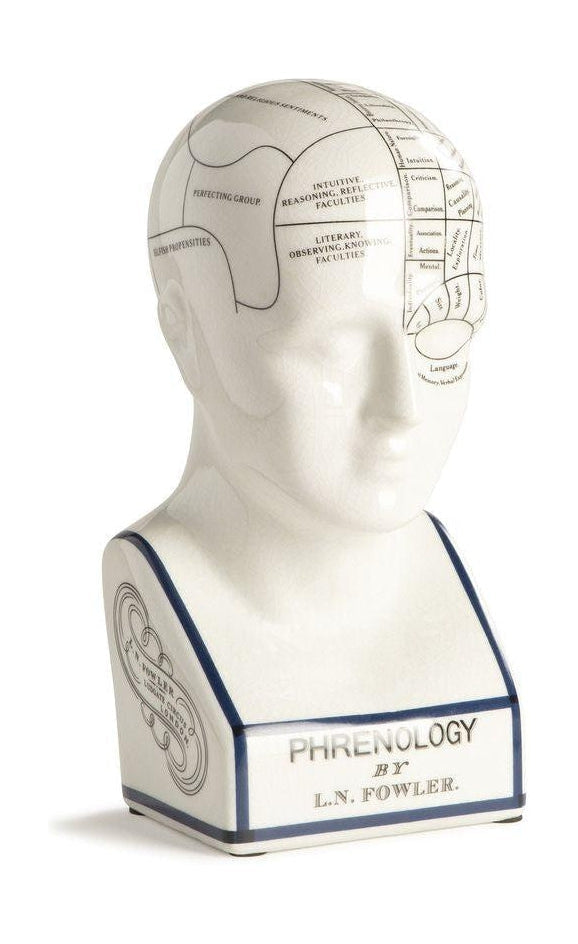 [product_category]-Authentic Models Phrenological Head, Small-Authentic Models-781934584575-MG024-AUT-1