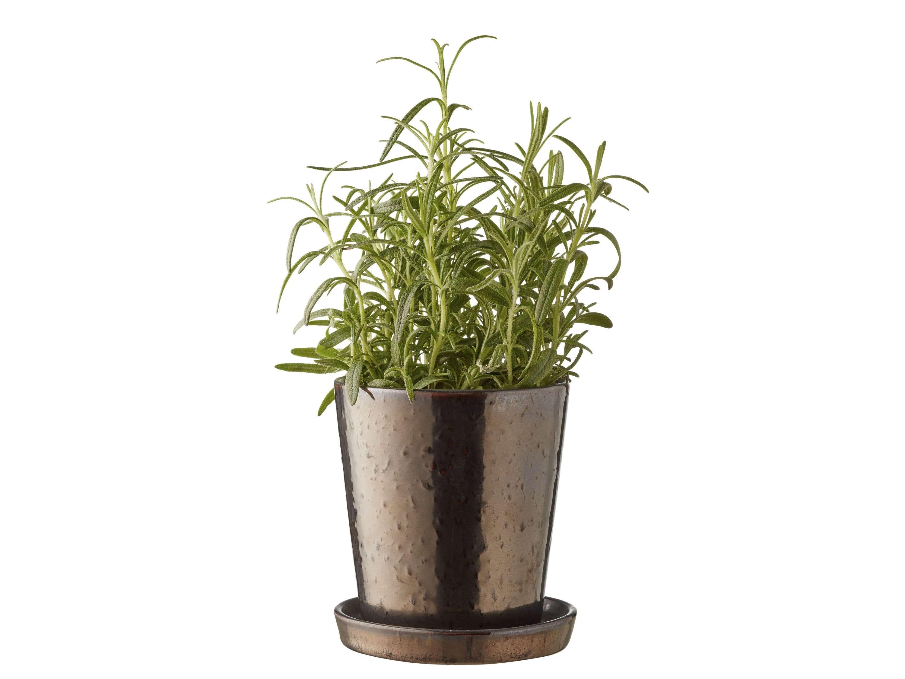 [product_category]-Bitz Planter Black/Bronze, ø10 Cm-Bitz-5722000149736-14973-BIT-2