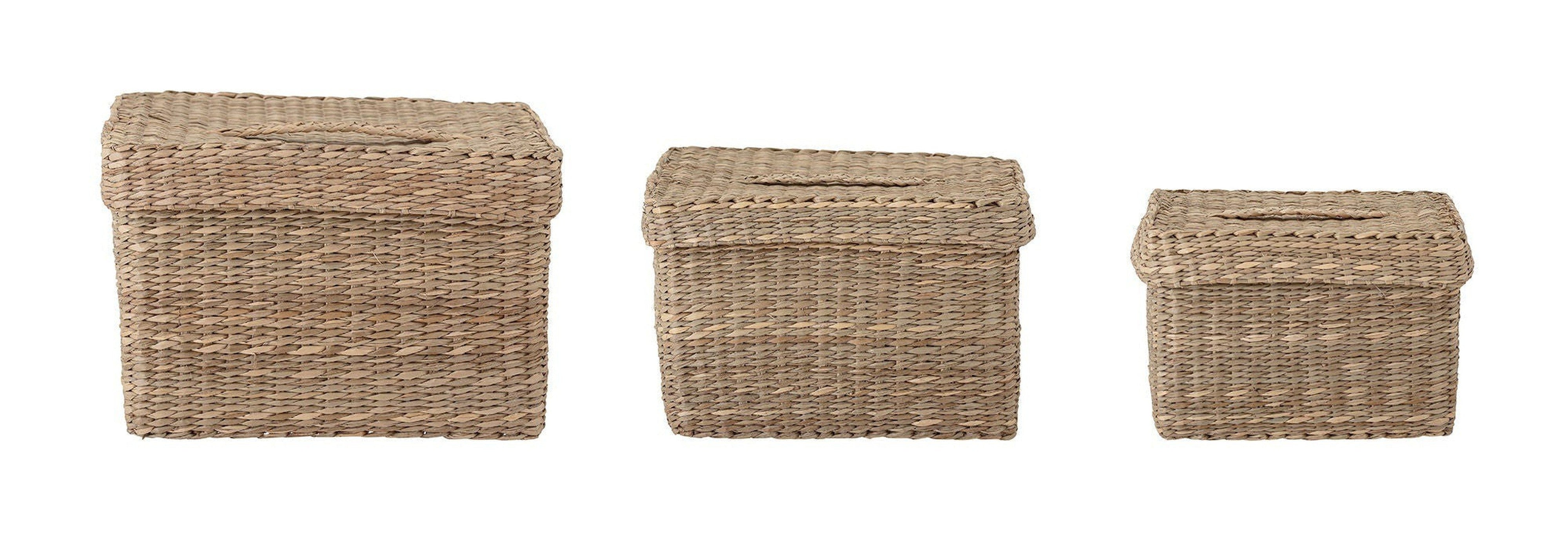 Bloomingville Givan Basket con tapa, naturaleza, hierba marina