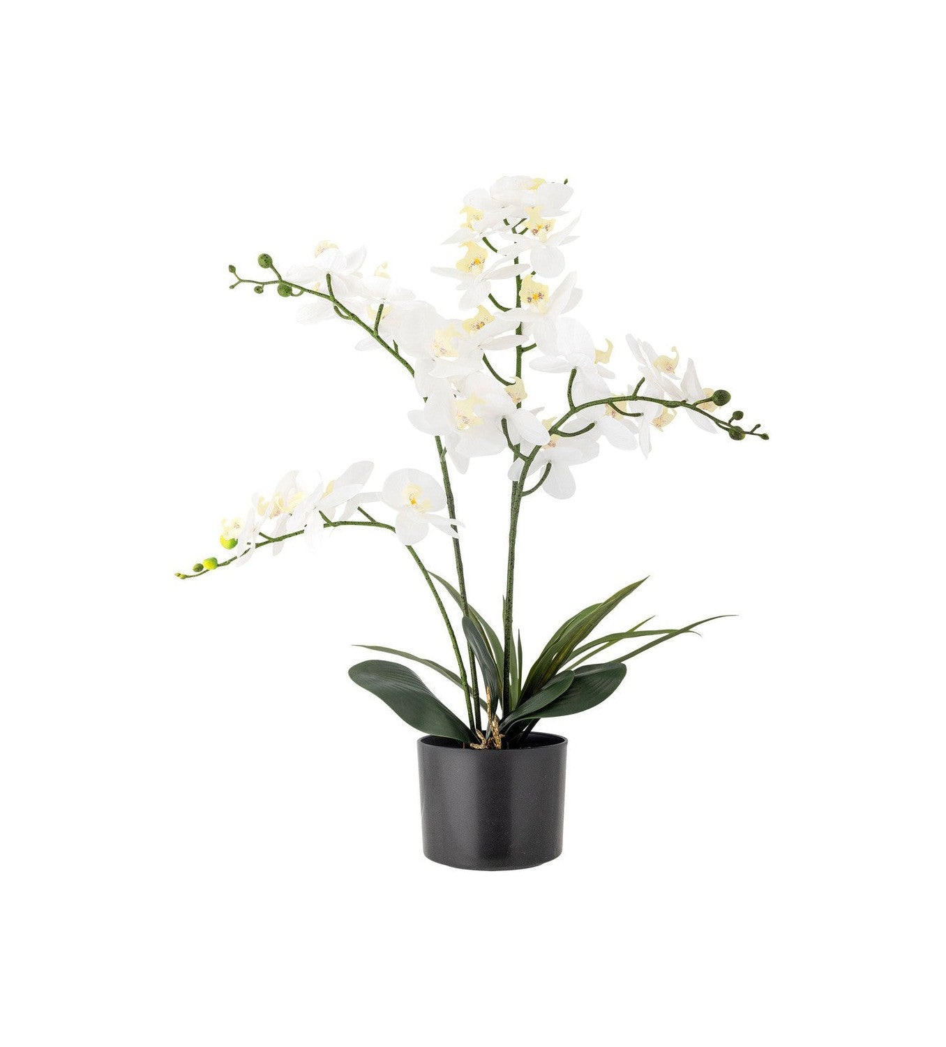 Plant artificiel de Bloomingville Orchid, vert, plastique