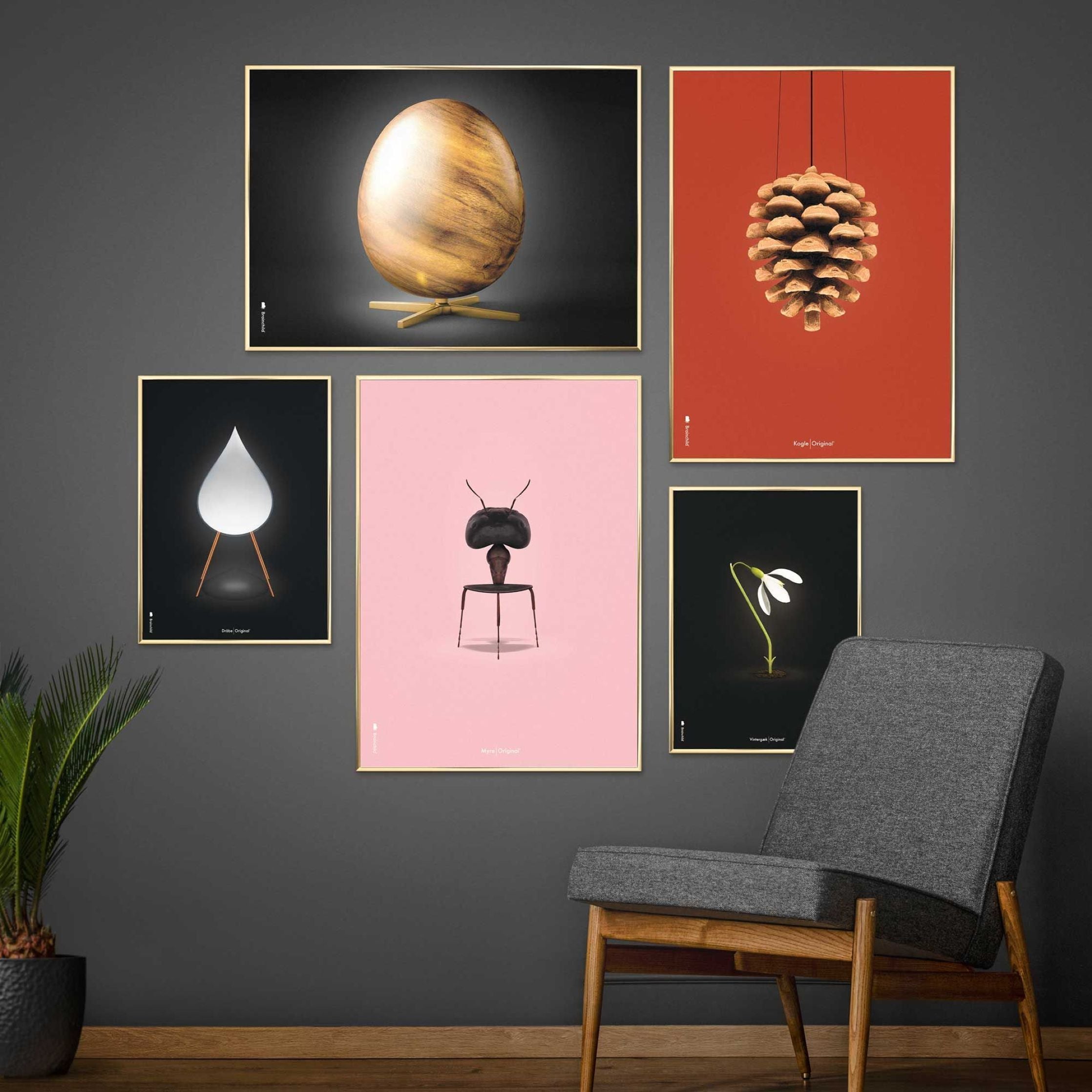 [product_category]-Brainchild Ant Classic Poster, Brass Colored Frame A5, Pink Background-Brainchild-43001-D-BRA-6
