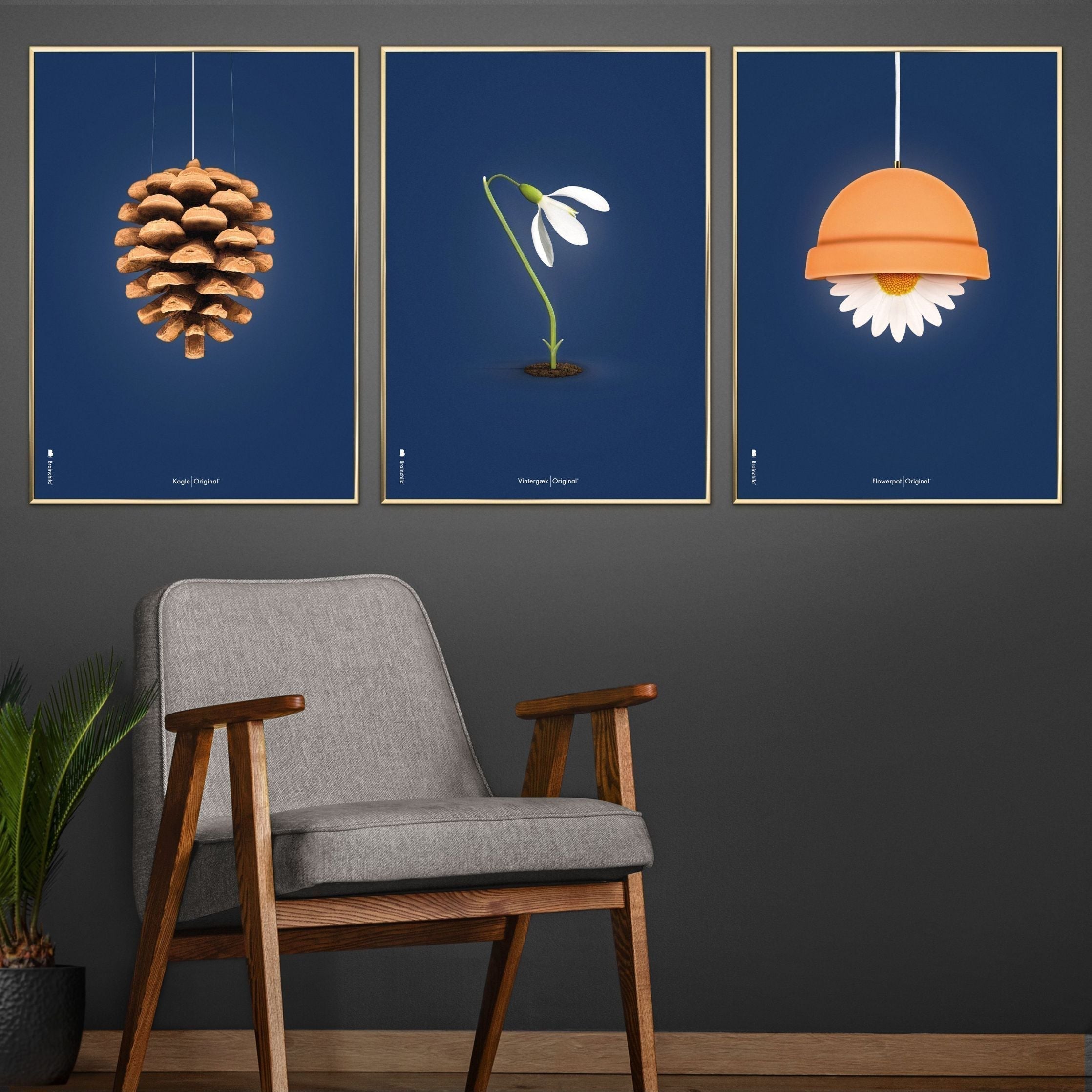 [product_category]-Brainchild Pine Cone Classic Poster, Frame In Black Lacquered Wood 50x70 Cm, Dark Blue Background-Brainchild-26003-C-BRA-10