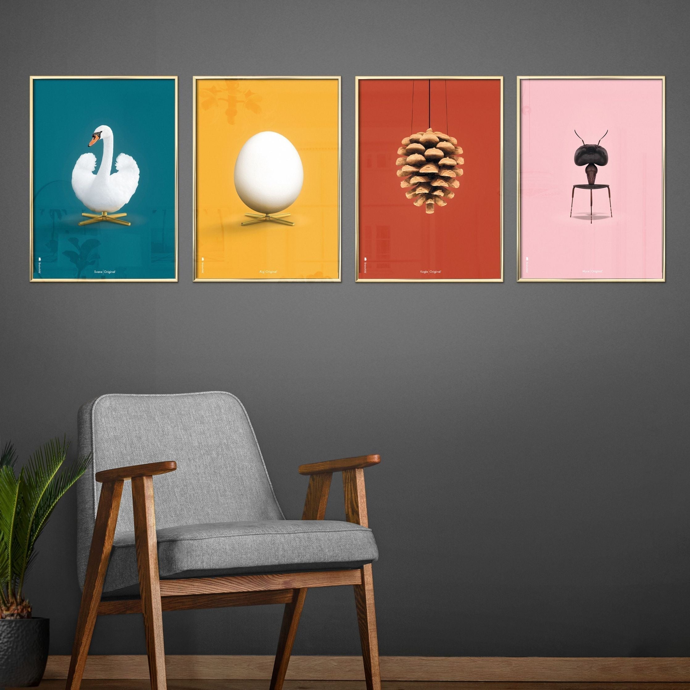 [product_category]-Brainchild Pine Cone Classic Poster, Frame In Black Lacquered Wood 50x70 Cm, Red Background-Brainchild-25003-C-BRA-4