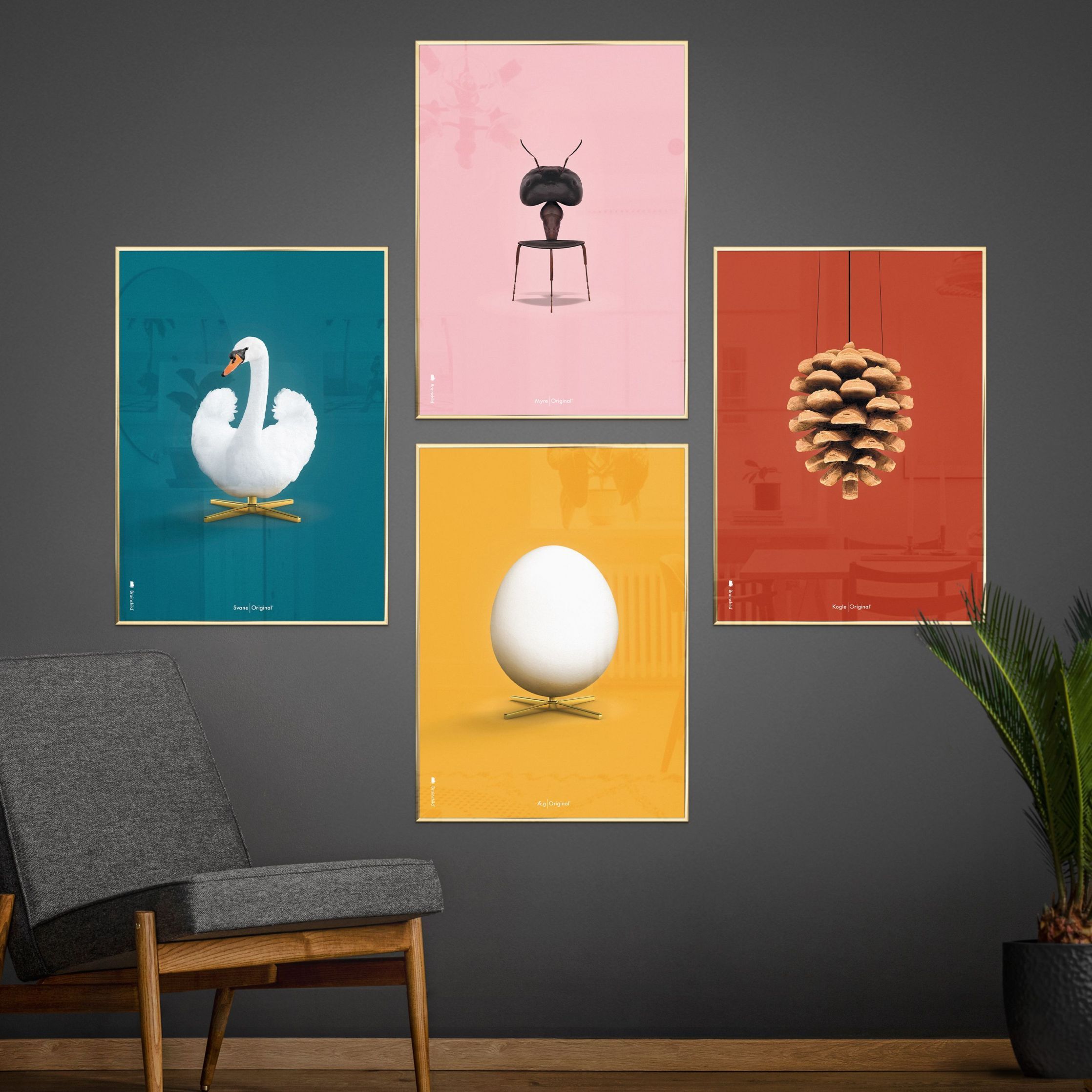 [product_category]-Brainchild Pine Cone Classic Poster, Frame In Black Lacquered Wood 50x70 Cm, Red Background-Brainchild-25003-C-BRA-5