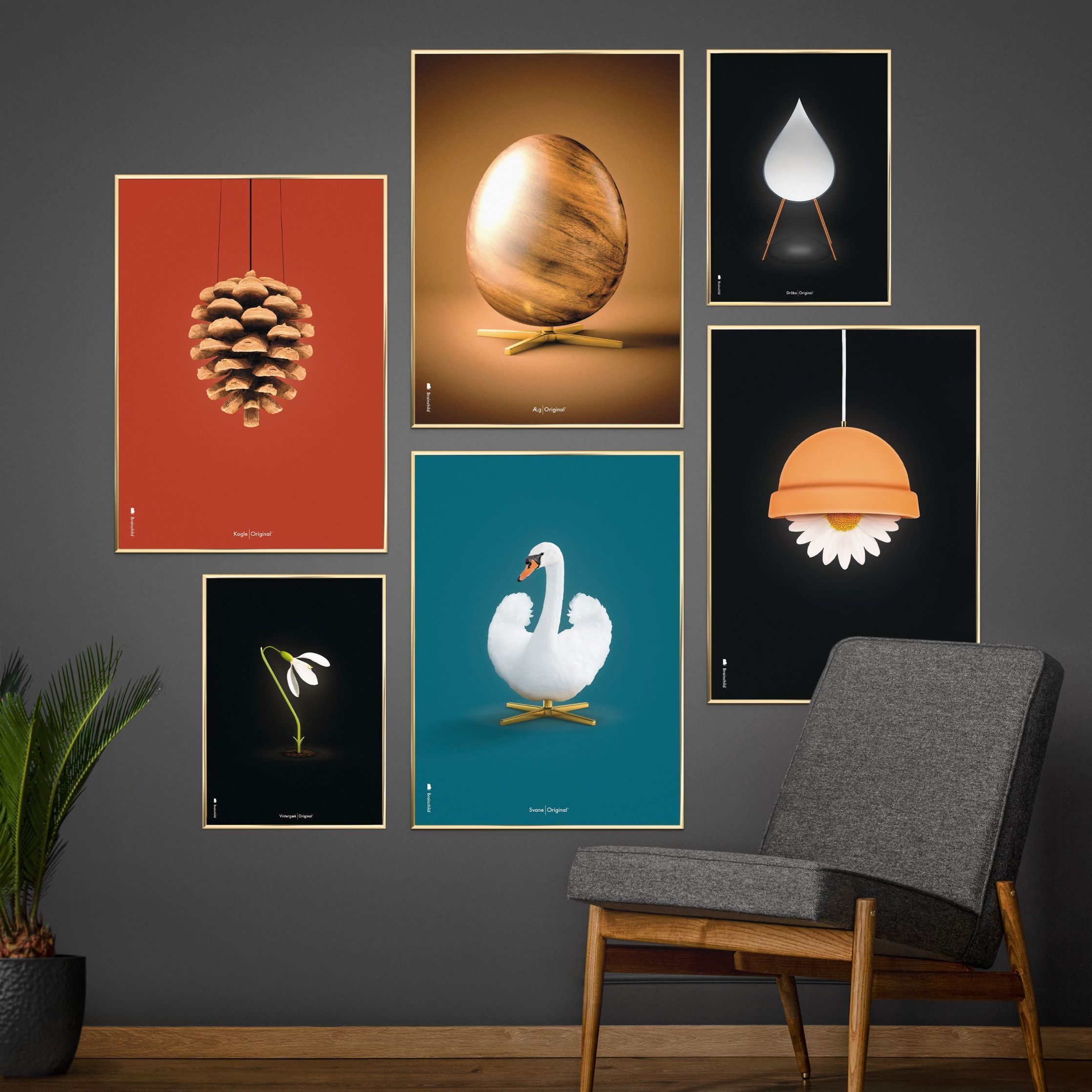 [product_category]-Brainchild Pine Cone Classic Poster, Frame In Black Lacquered Wood 50x70 Cm, Red Background-Brainchild-25003-C-BRA-6