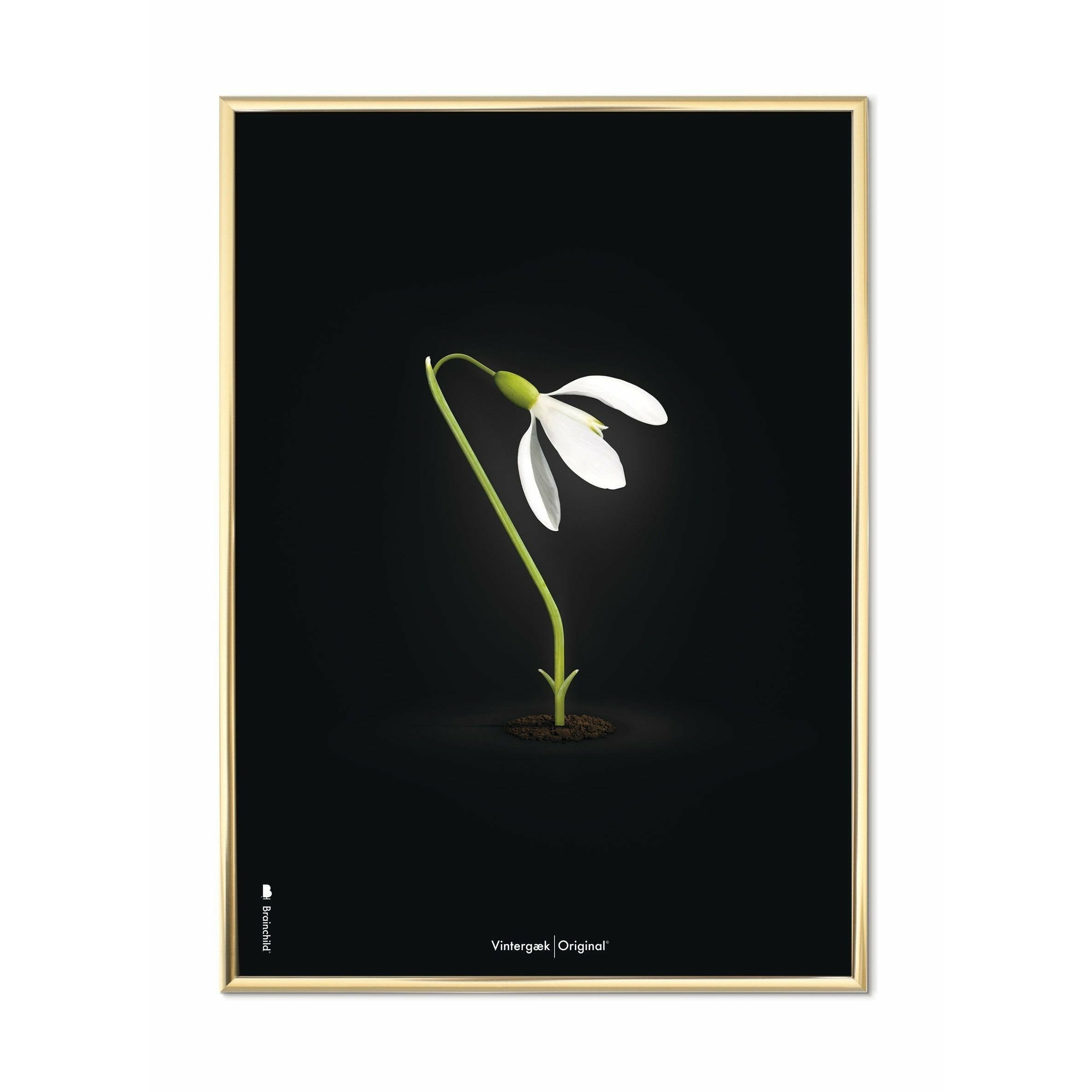 Brainchild Snowdrop Classic plakat, messingfarvet ramme 30x40 cm, sort baggrund