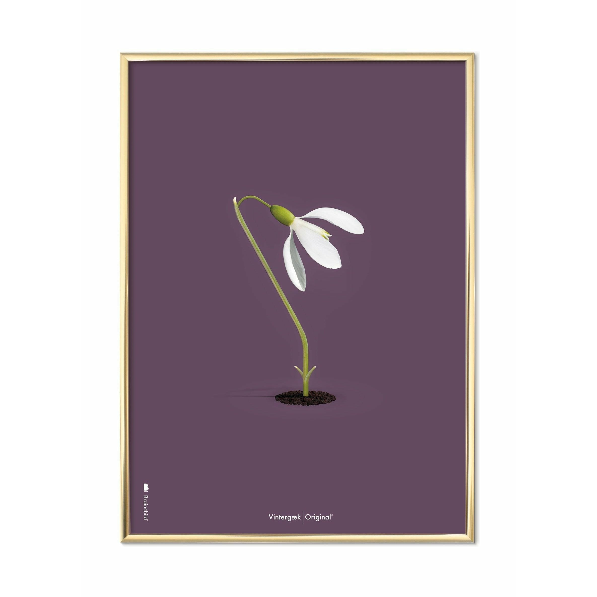 Brainchild Snowdrop Classic plakat, messingfarvet ramme 70 x100 cm, lilla baggrund