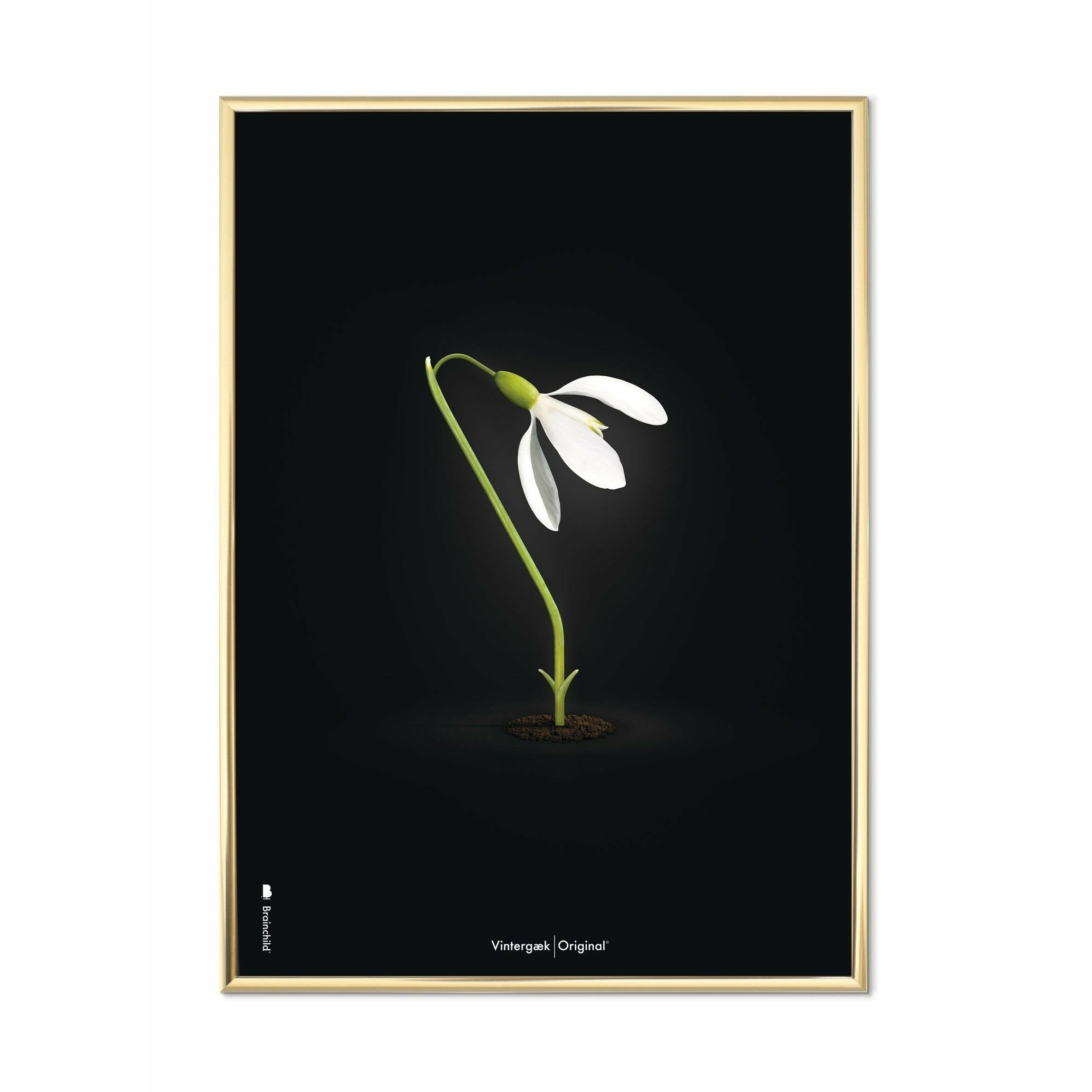 [product_category]-Brainchild Snowdrop Classic Poster, Brass Frame 50x70 Cm, Black Background-Brainchild-63003-D-BRA-1