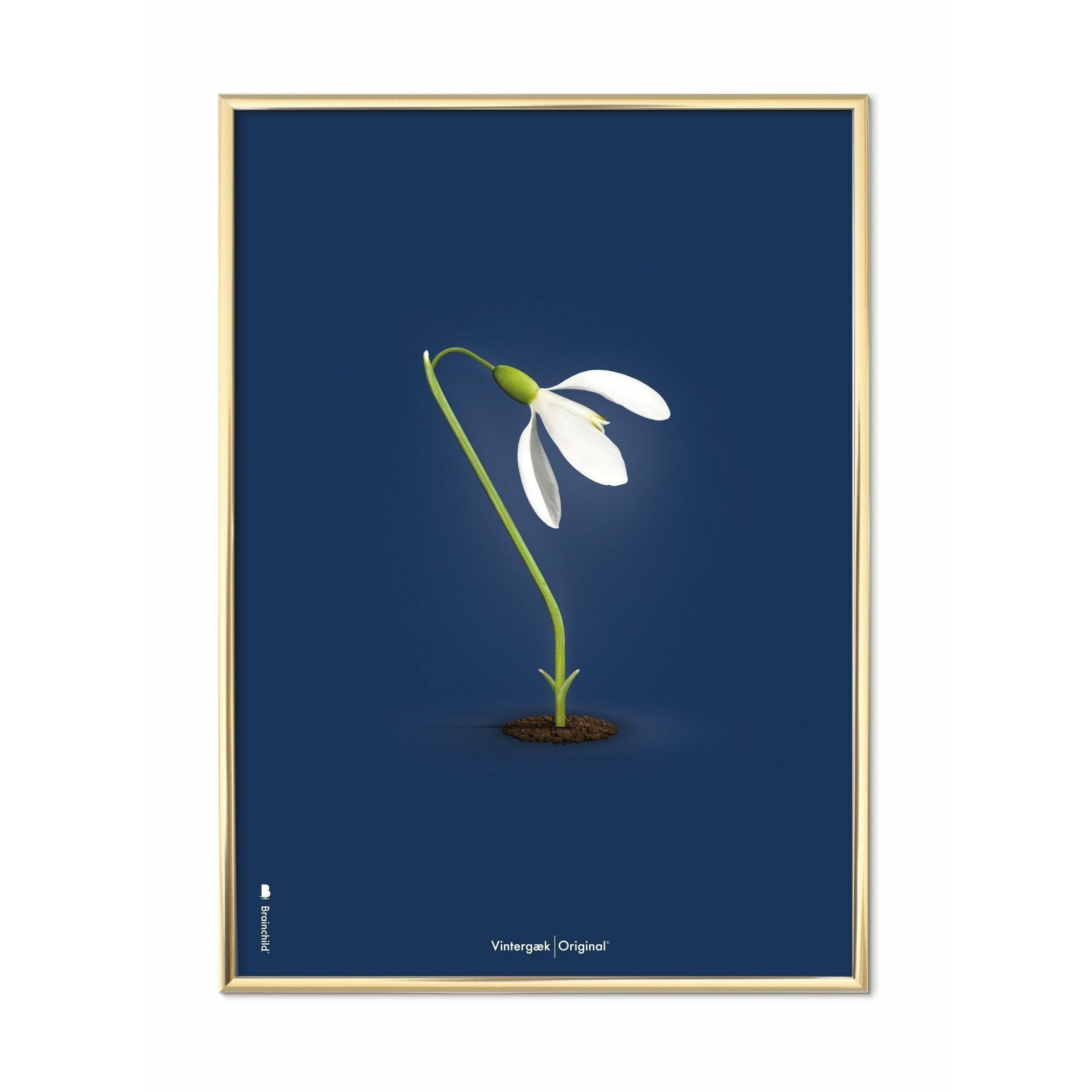 [product_category]-Brainchild Snowdrop Classic Poster, Brass Frame 70 X100 Cm, Dark Blue Background-Brainchild-64004-D-BRA-1