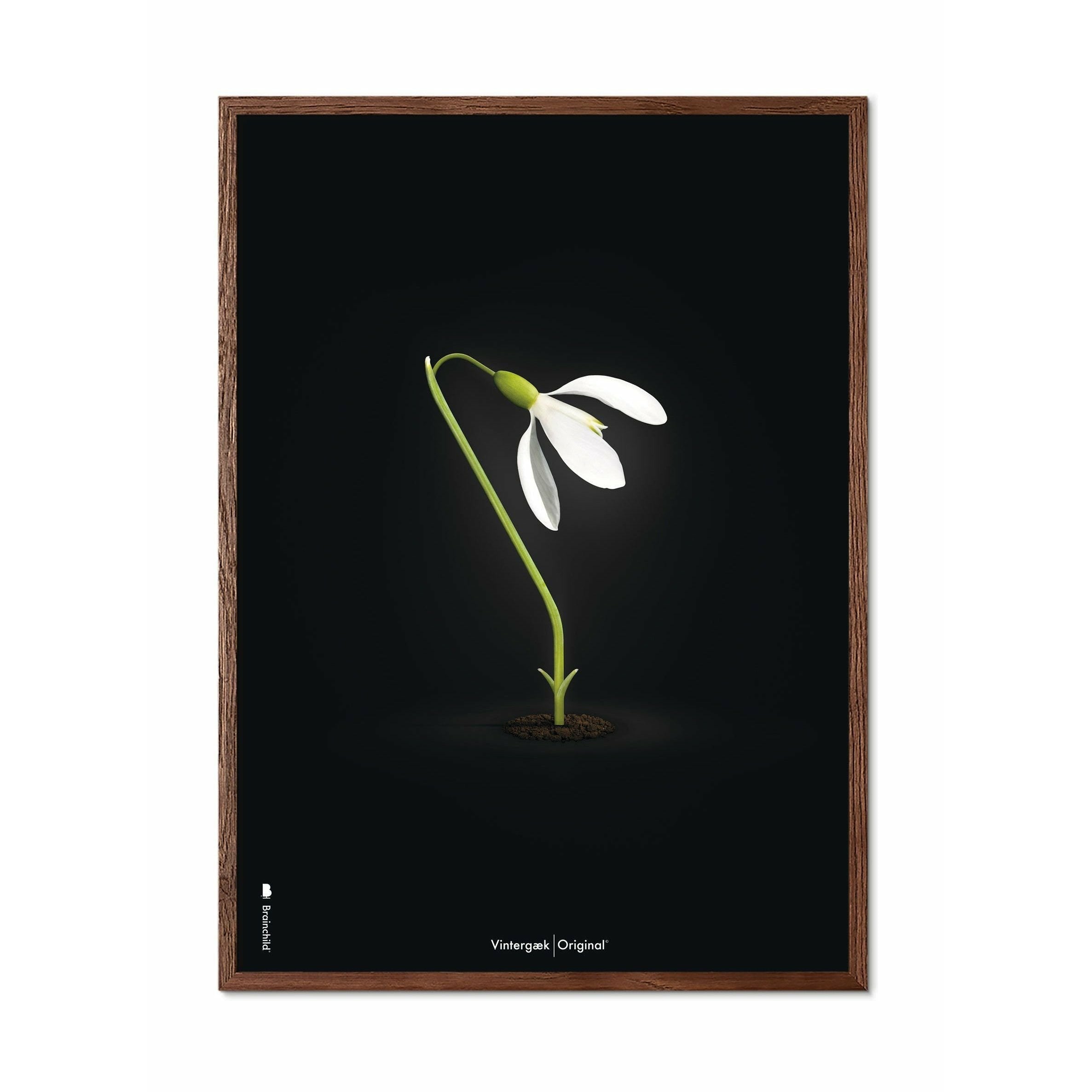 Brainchild Snowdrop Classic Poster, Dark Wood Frame A5, sort baggrund