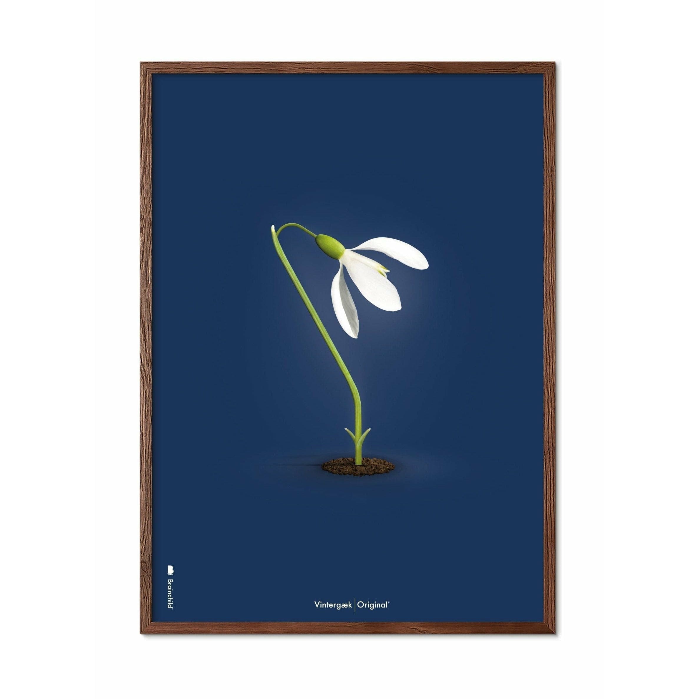 Brainchild Snowdrop Classic plakat, ramme lavet af mørk træ 30x40 cm, mørkeblå baggrund