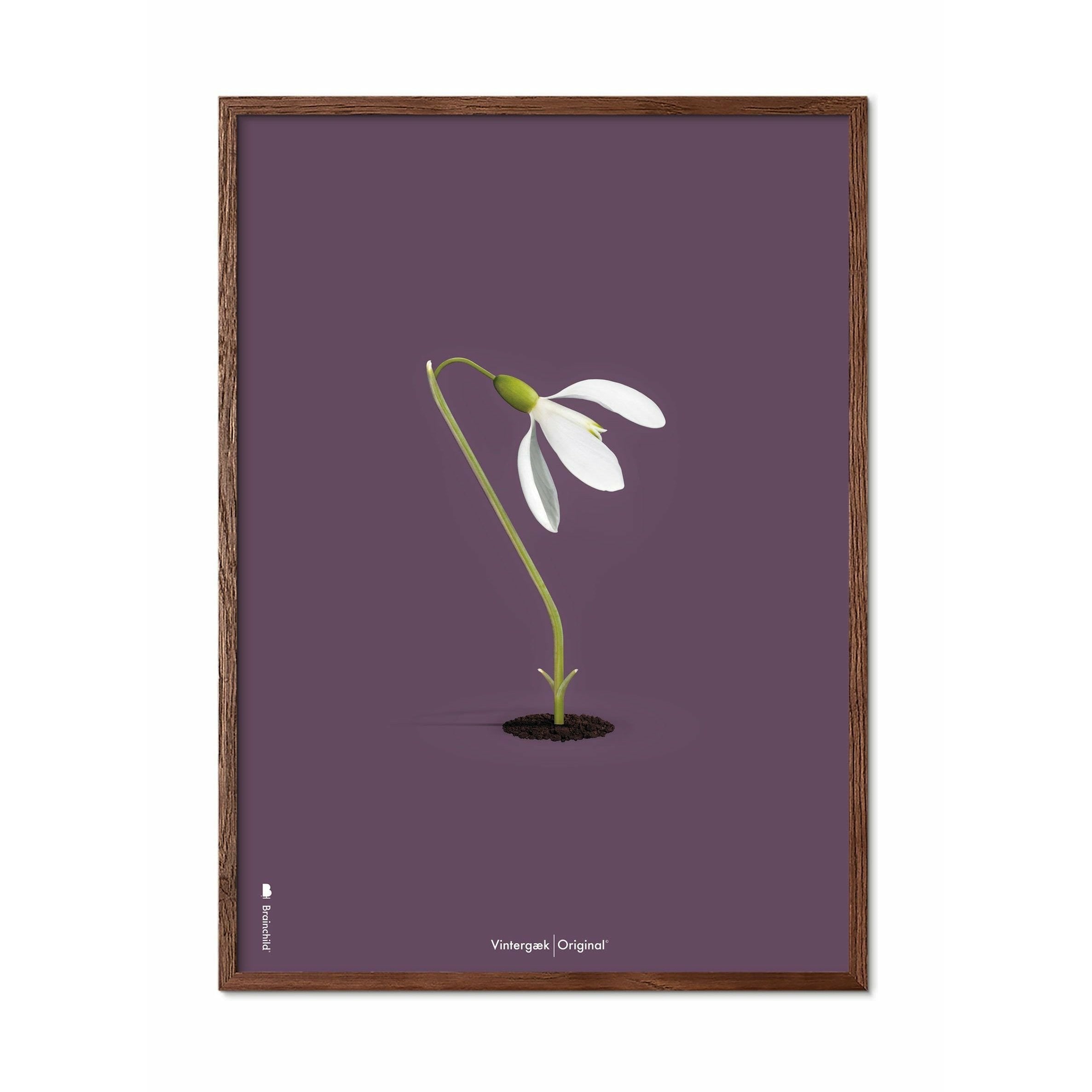 Póster clásico de Snowdrop de creación, marco hecho de madera oscura de 70x100 cm, fondo morado