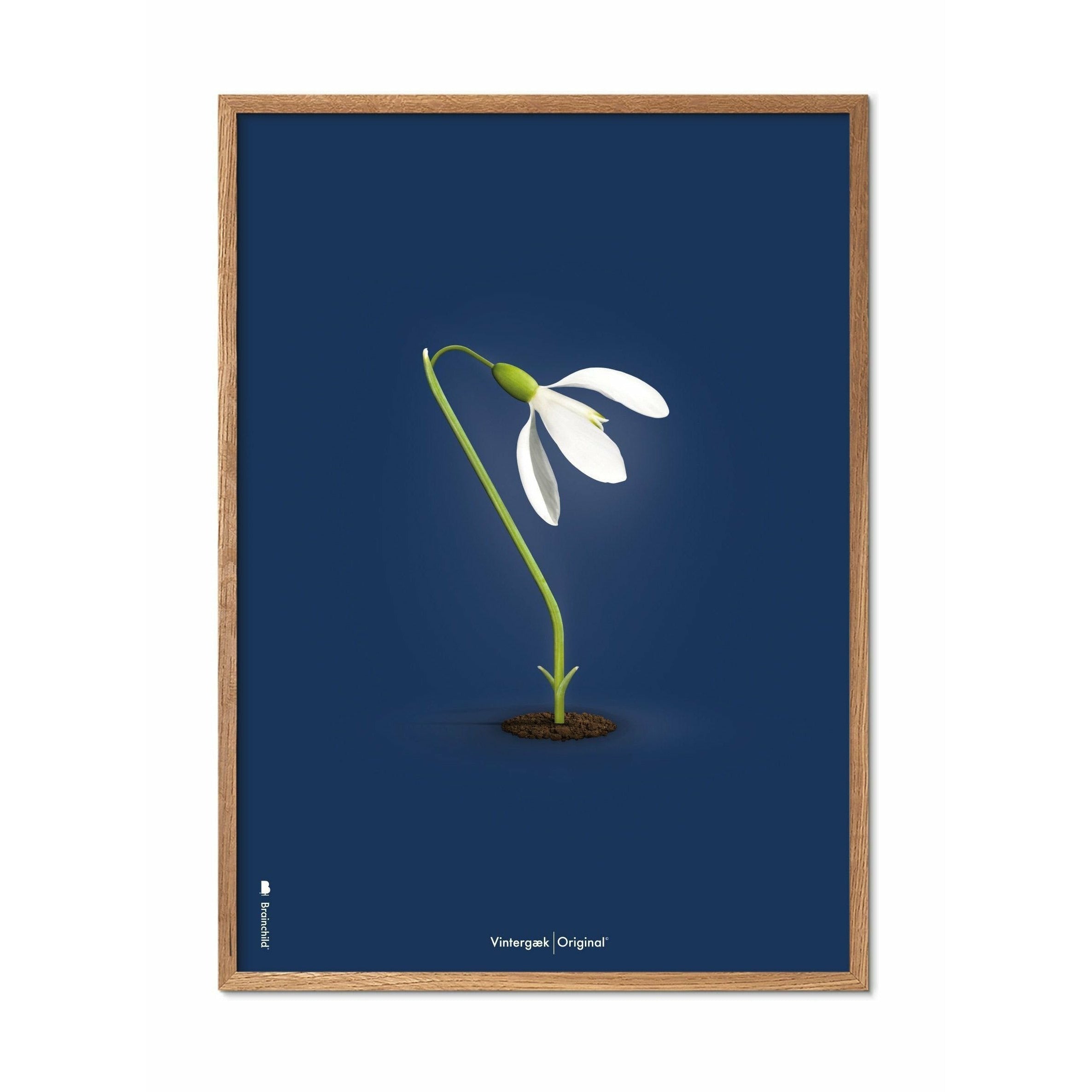 Brainchild Snowdrop Classic plakat, ramme lavet af let træ 30x40 cm, mørkeblå baggrund