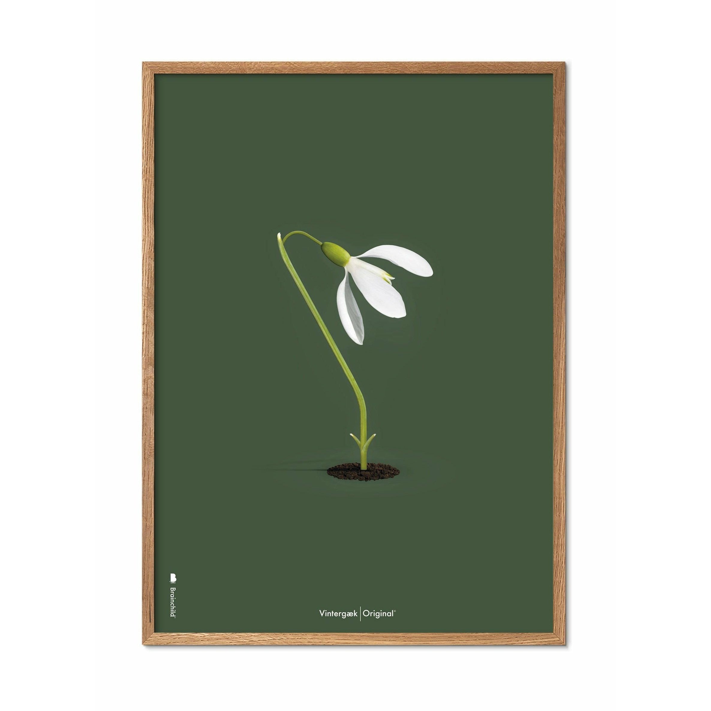 [product_category]-Brainchild Snowdrop Classic Poster, Frame Made Of Light Wood A5, Green Background-Brainchild-61001-A-BRA-1