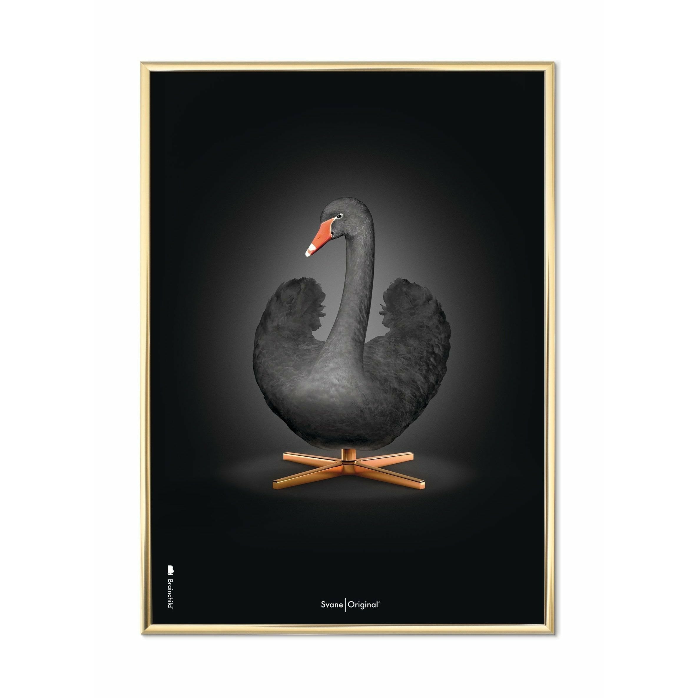 [product_category]-Brainchild Swan Classic Poster, Brass Frame 30x40 Cm, Black/Black Background-Brainchild-31002-D-BRA-1