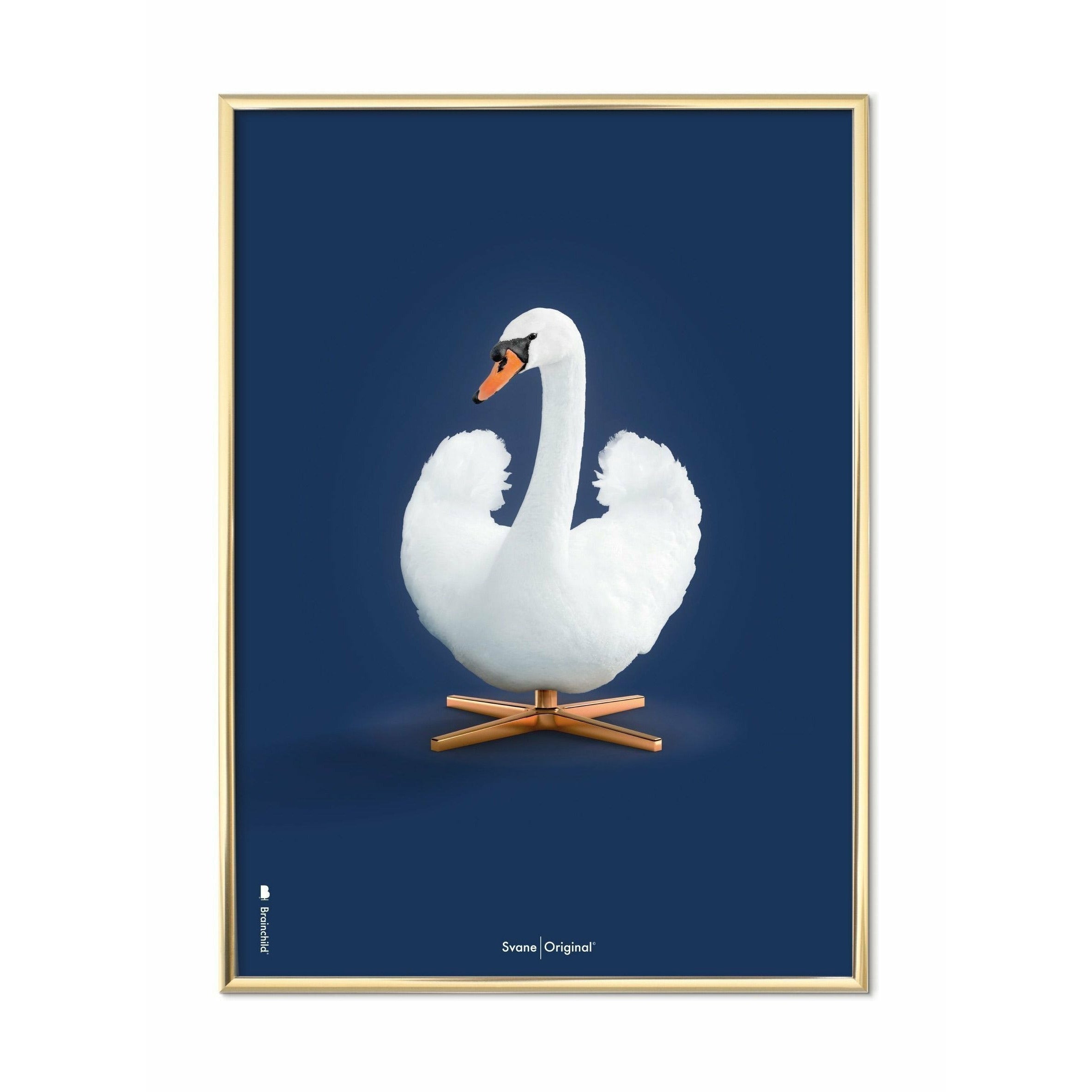 [product_category]-Brainchild Swan Classic Poster, Brass Frame 50x70 Cm, Dark Blue Background-Brainchild-35003-D-BRA-1