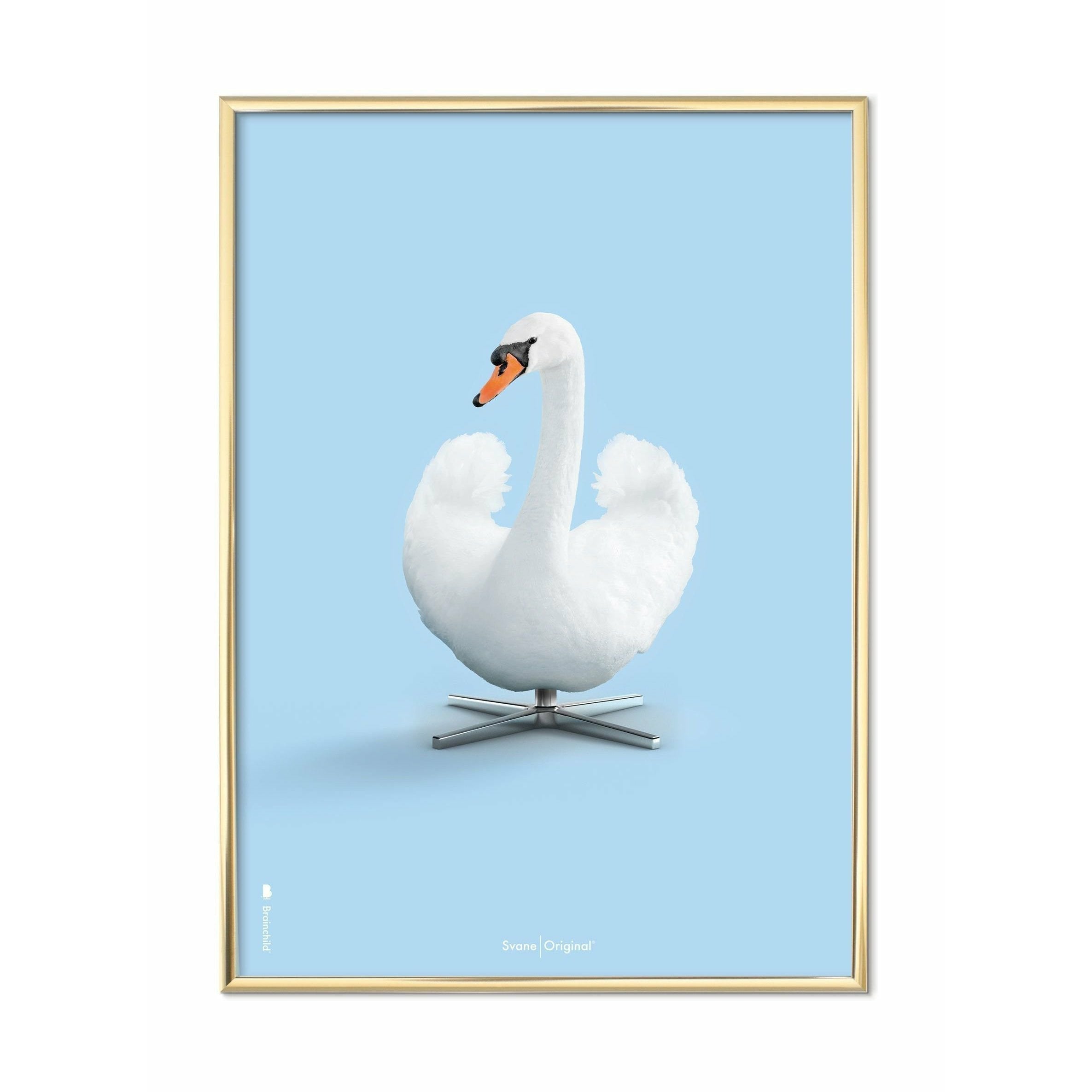 [product_category]-Brainchild Swan Classic Poster, Brass Frame 50x70 Cm, Light Blue Background-Brainchild-33003-D-BRA-1